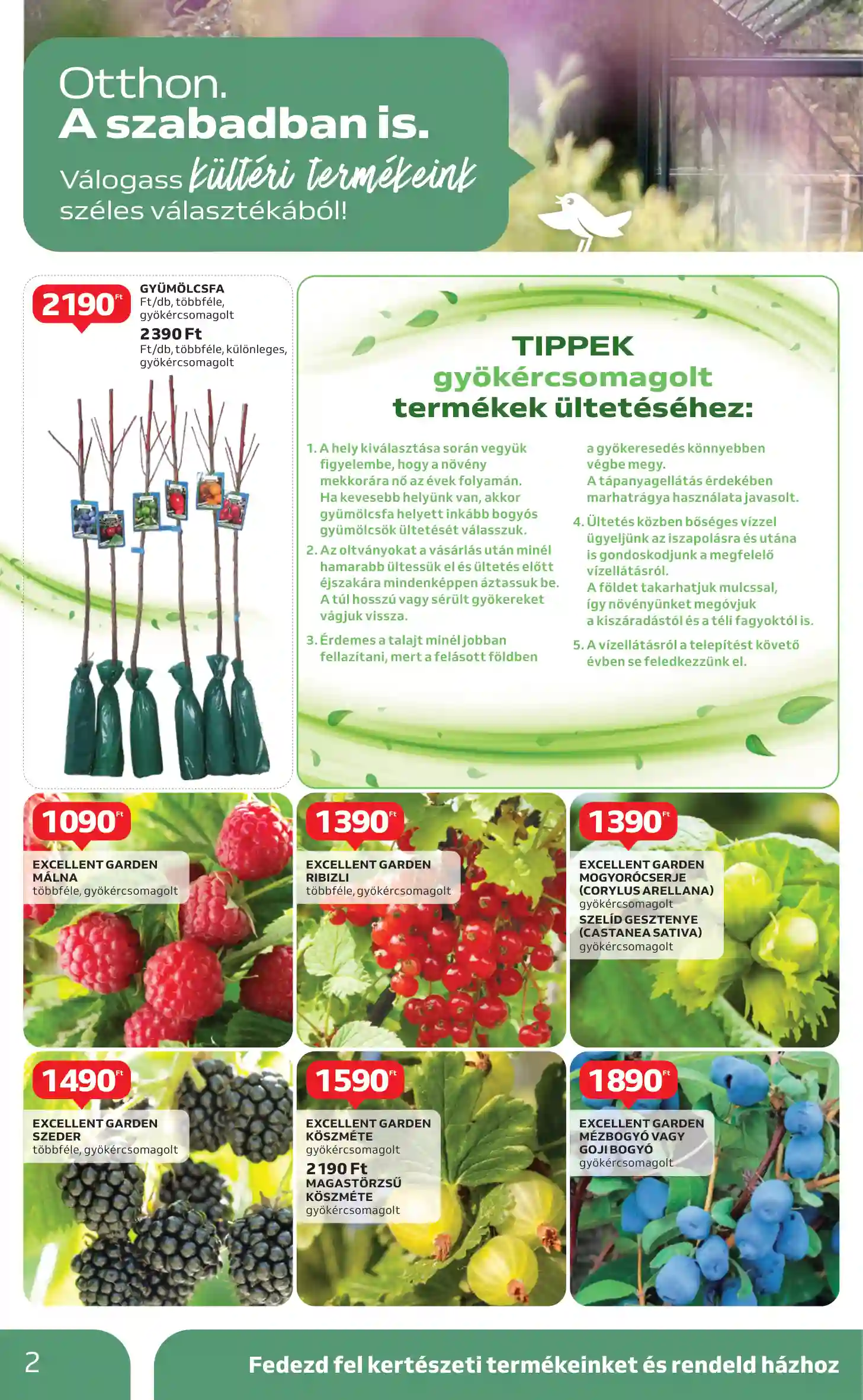 Auchan akciós újság 10. hét (2 oldal)