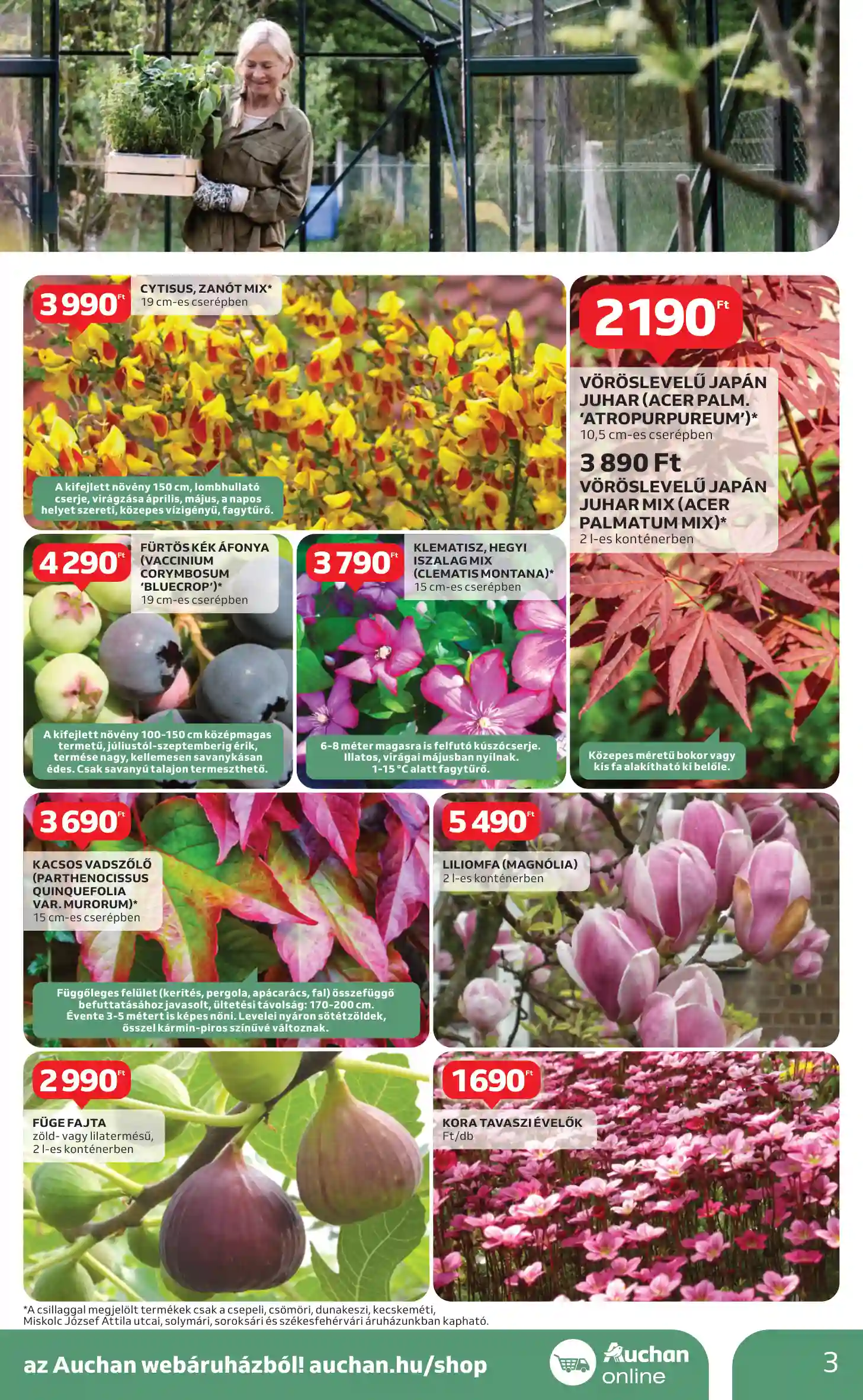 Auchan akciós újság 10. hét (11 oldal)