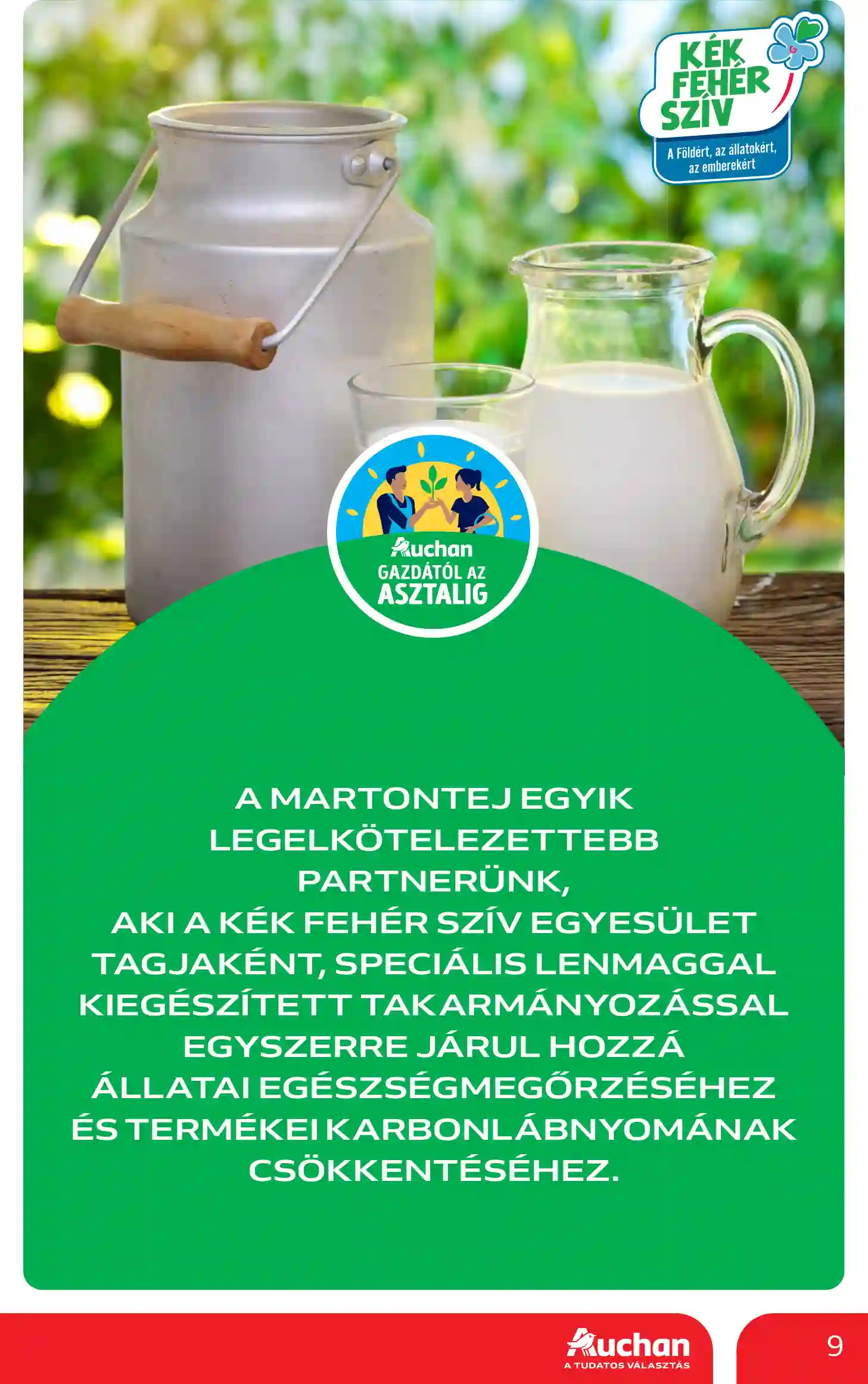 Auchan akciós újság 19. hét (10 oldal)