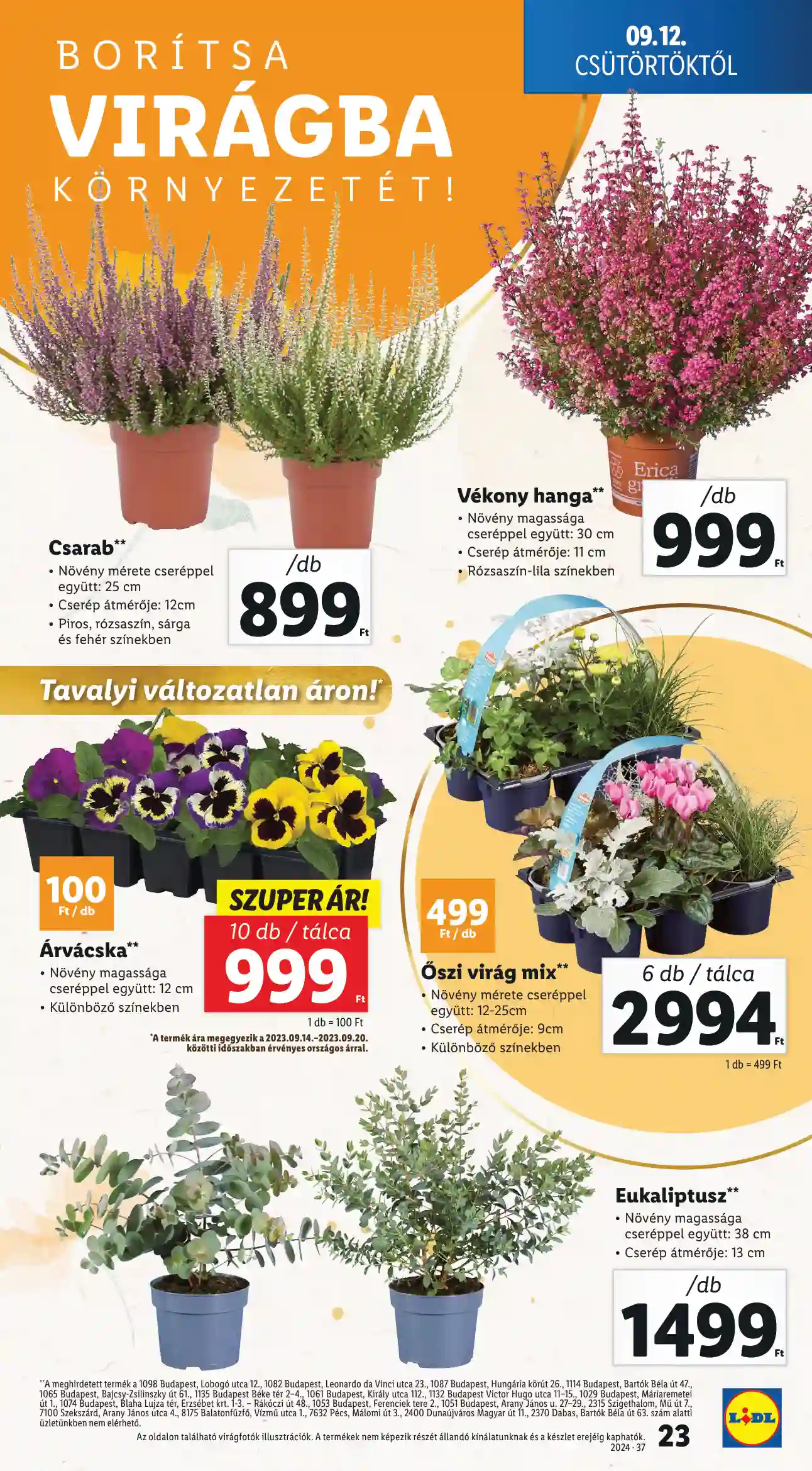 Lidl akciós újság 37. hét (16 oldal)