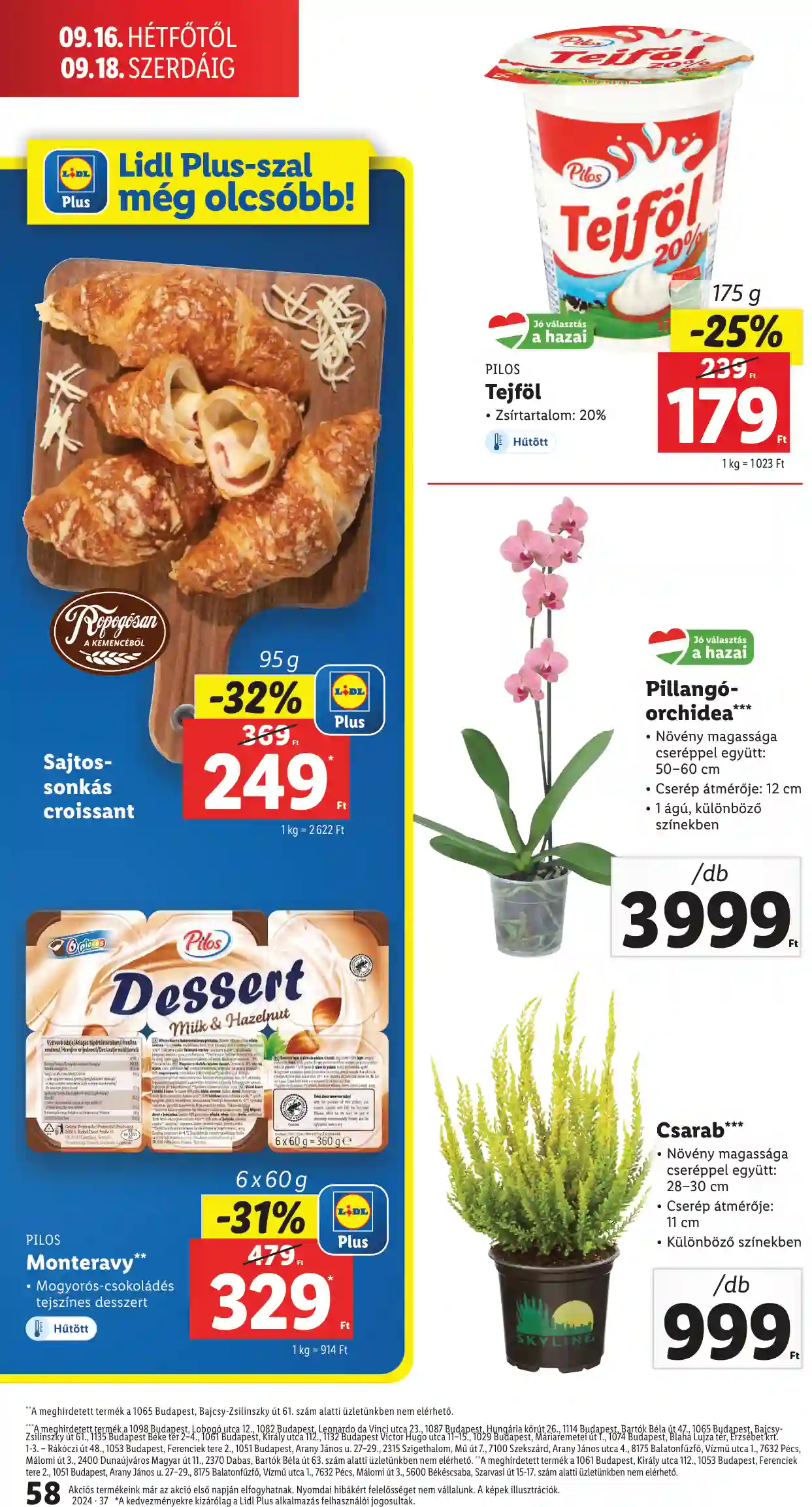 Lidl akciós újság 37. hét (54 oldal)