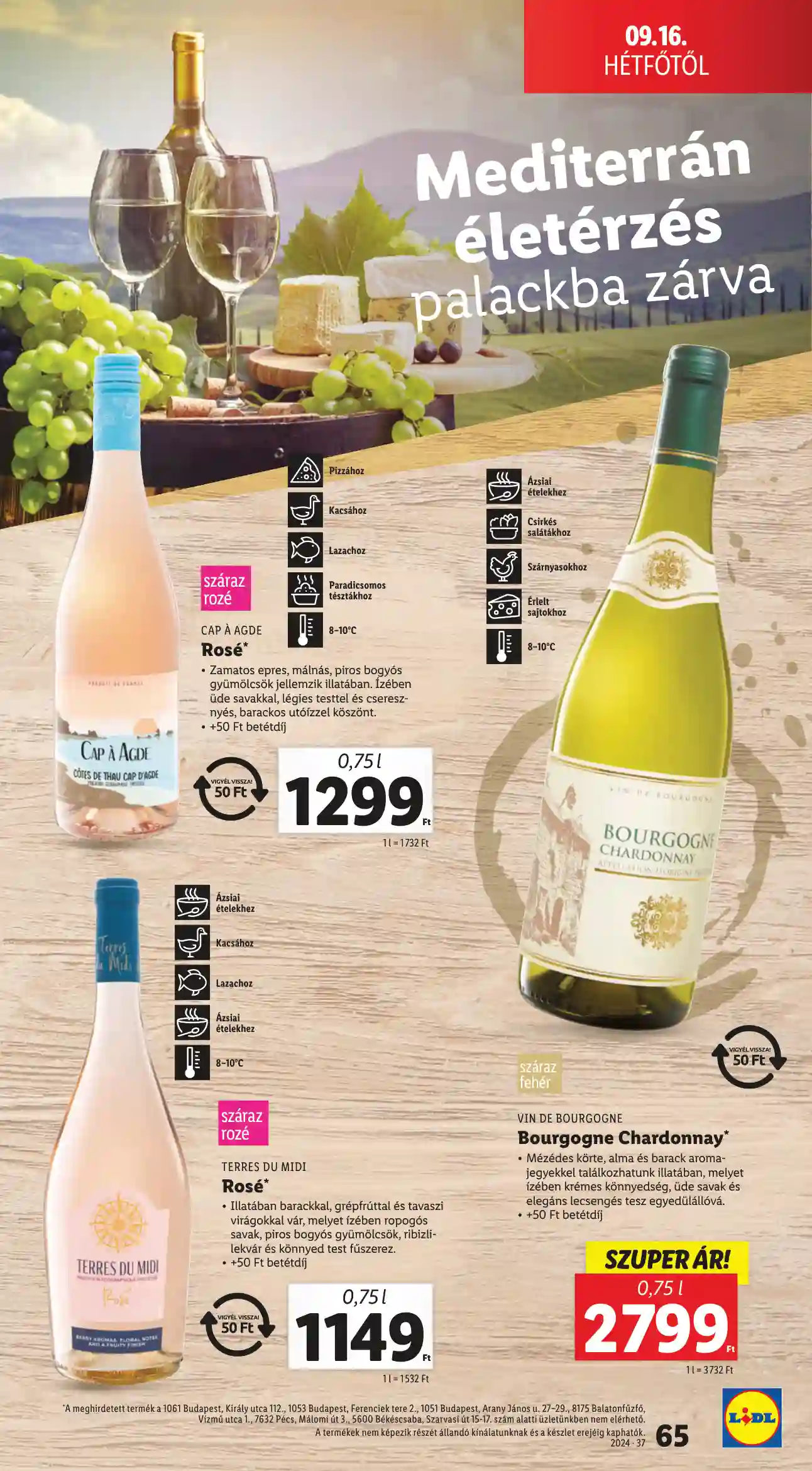 Lidl akciós újság 37. hét (62 oldal)