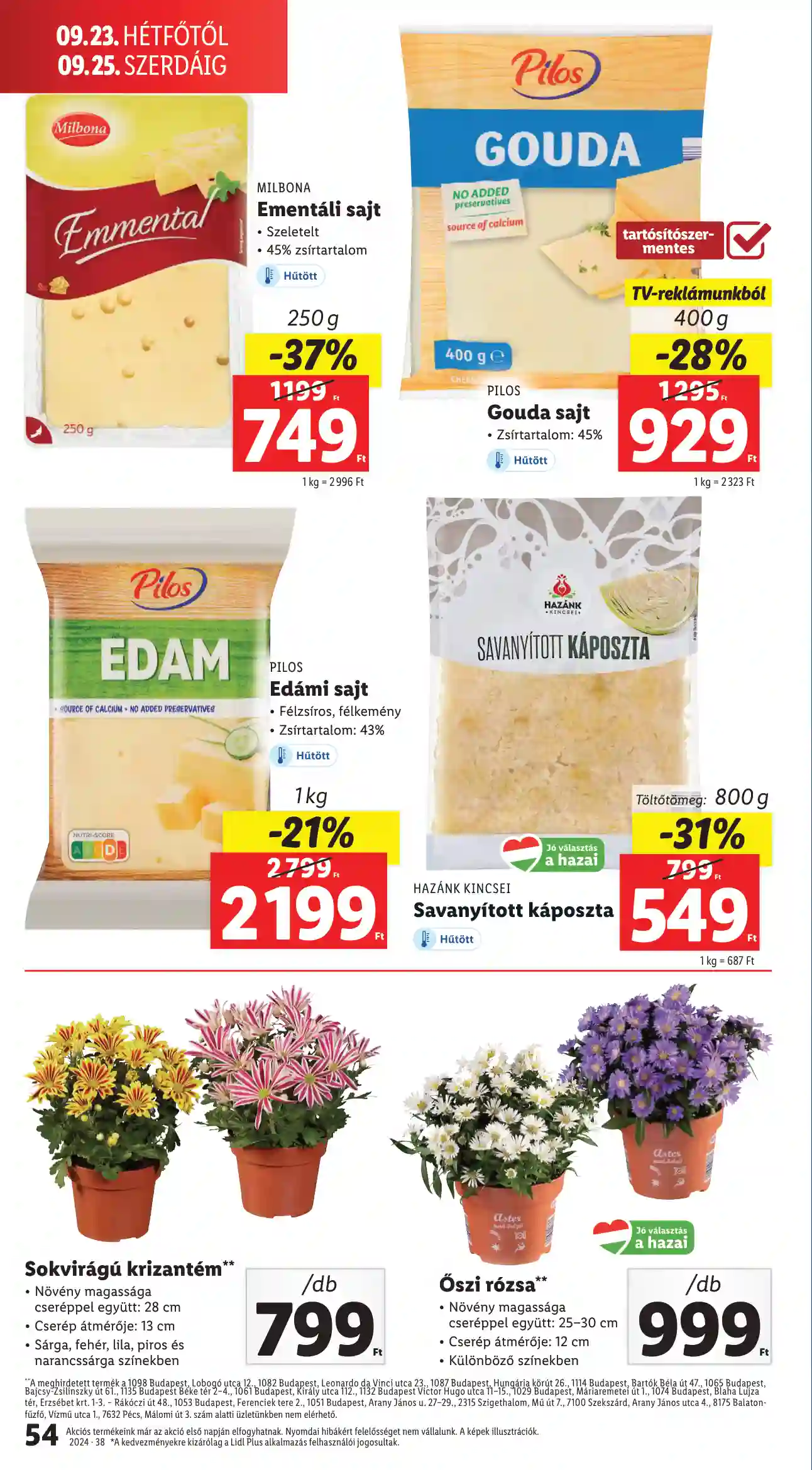 Lidl akciós újság 38. hét (50 oldal)