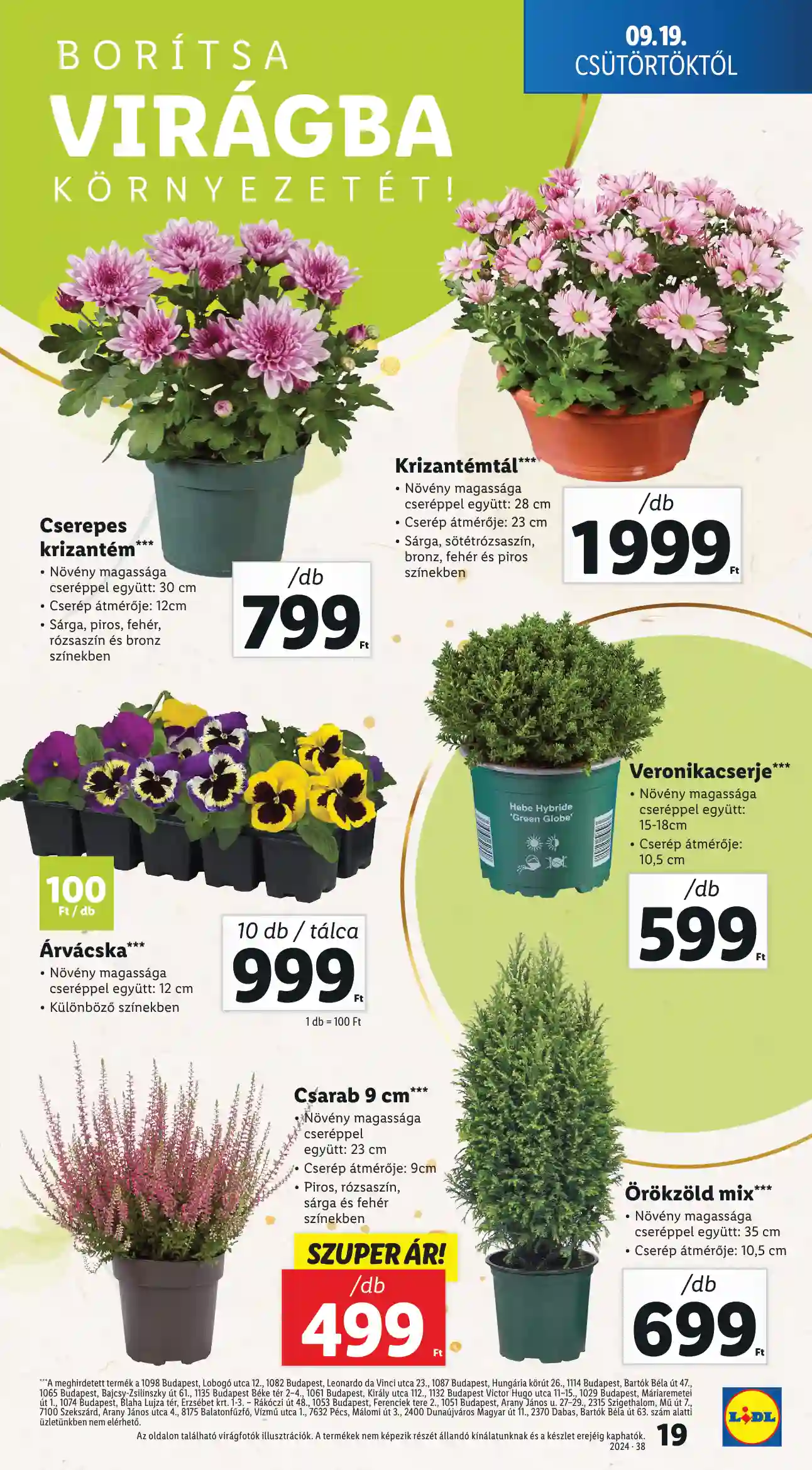 Lidl akciós újság 38. hét (11 oldal)