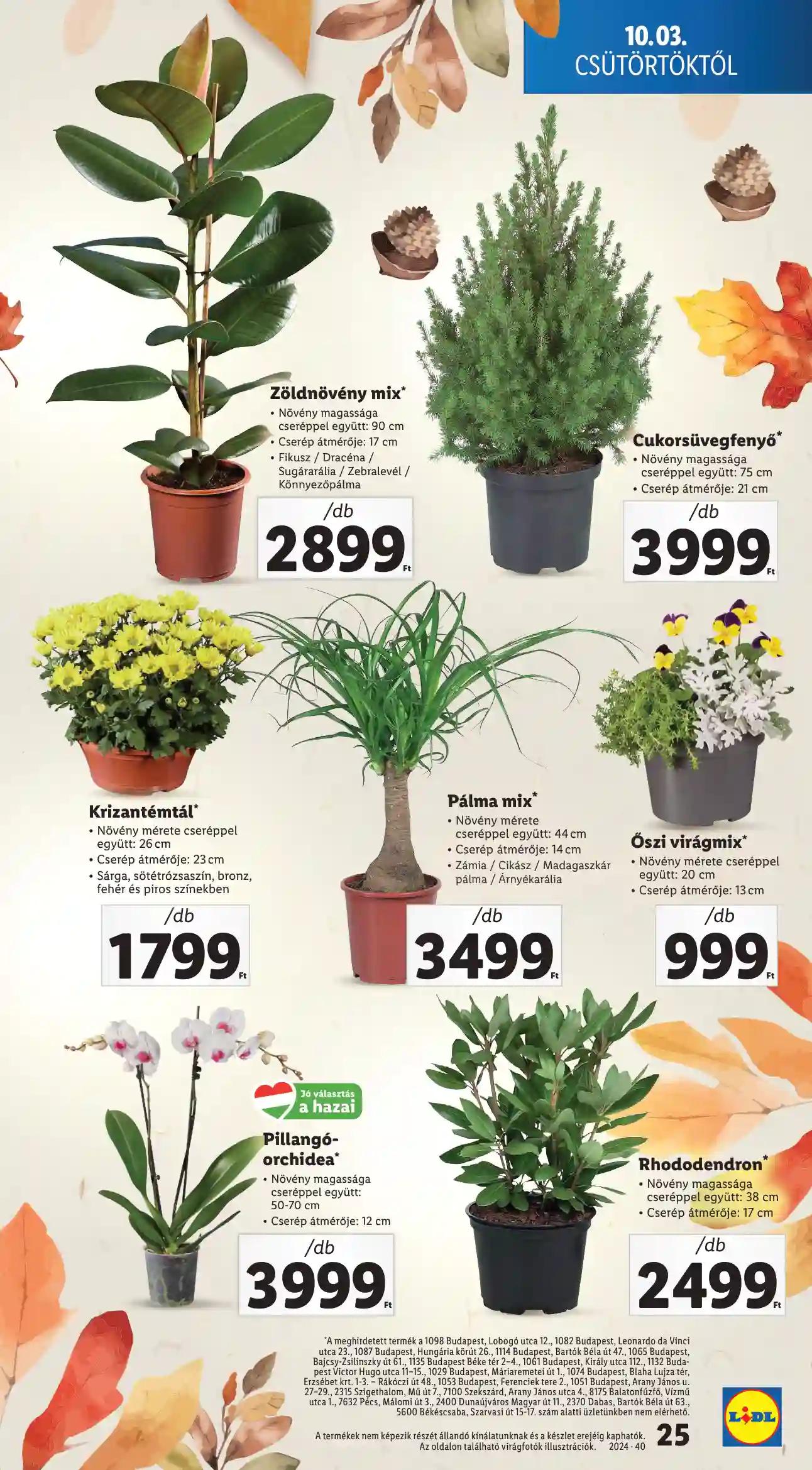 Lidl akciós újság 40. hét (18 oldal)