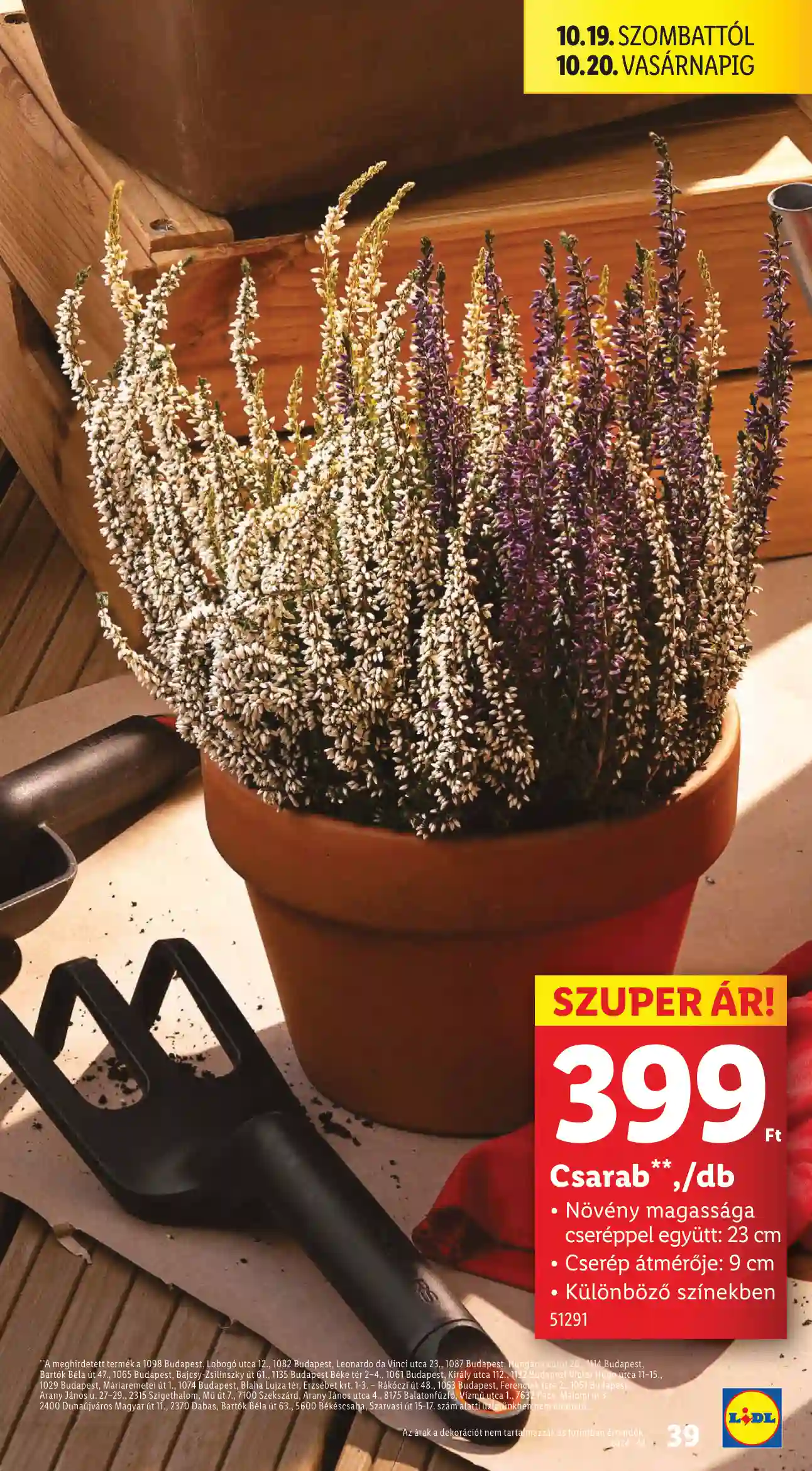 Lidl akciós újság 42. hét (Érvényes 10.17-től) (33 oldal)