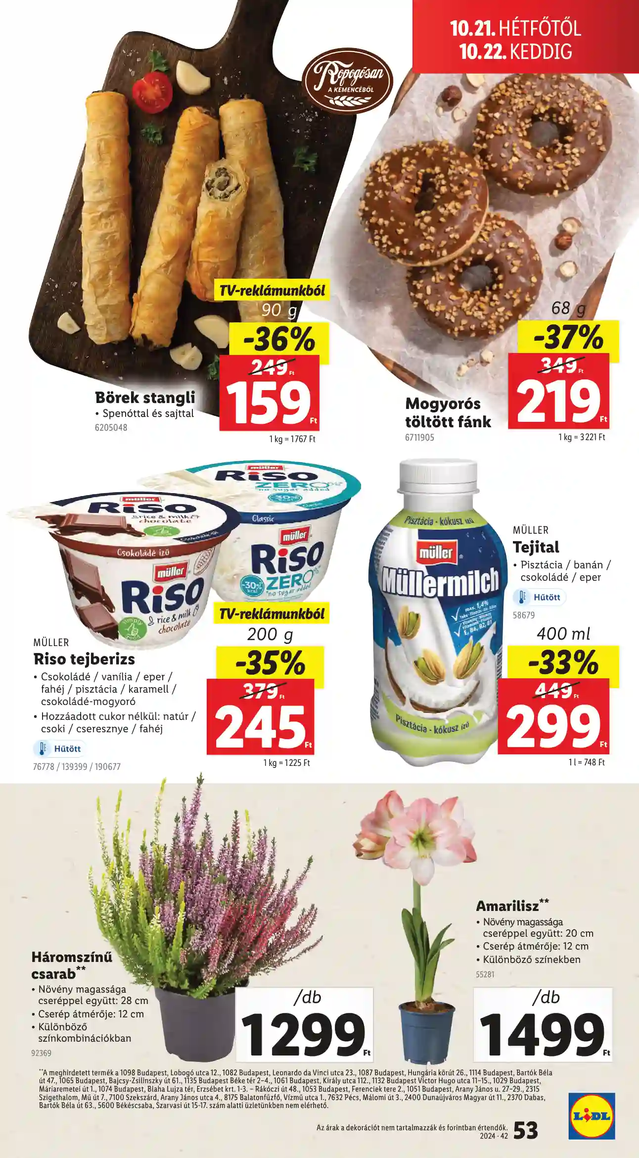 Lidl akciós újság 42. hét (Érvényes 10.17-től) (49 oldal)