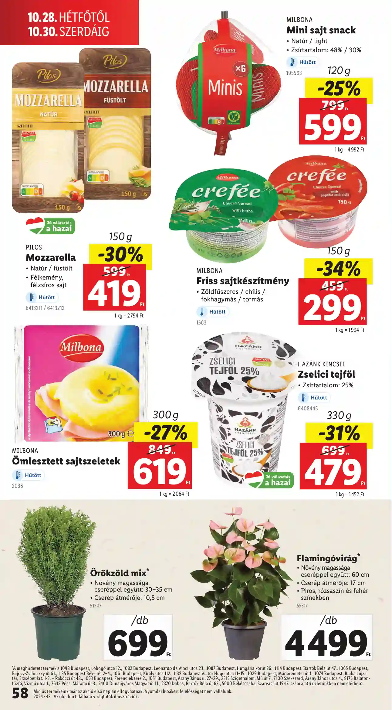 Lidl akciós újság 43. hét (Érvényes 10.24-től) (54 oldal)