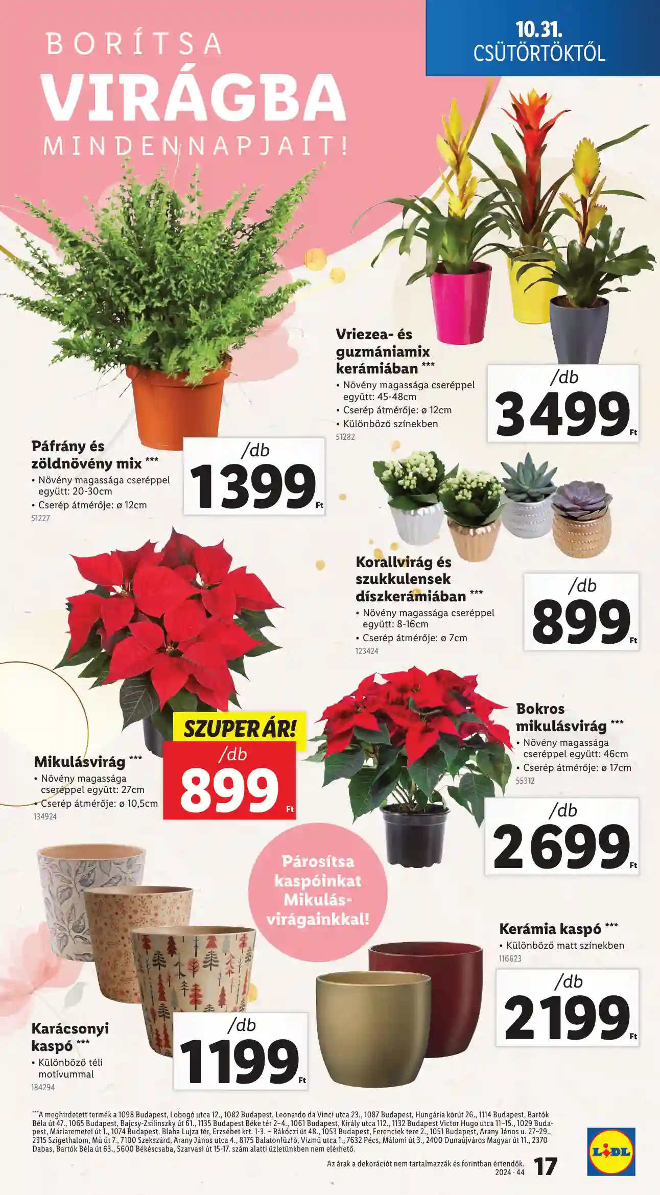 Lidl akciós újság 44. hét (Érvényes 10.31-től) (9 oldal)