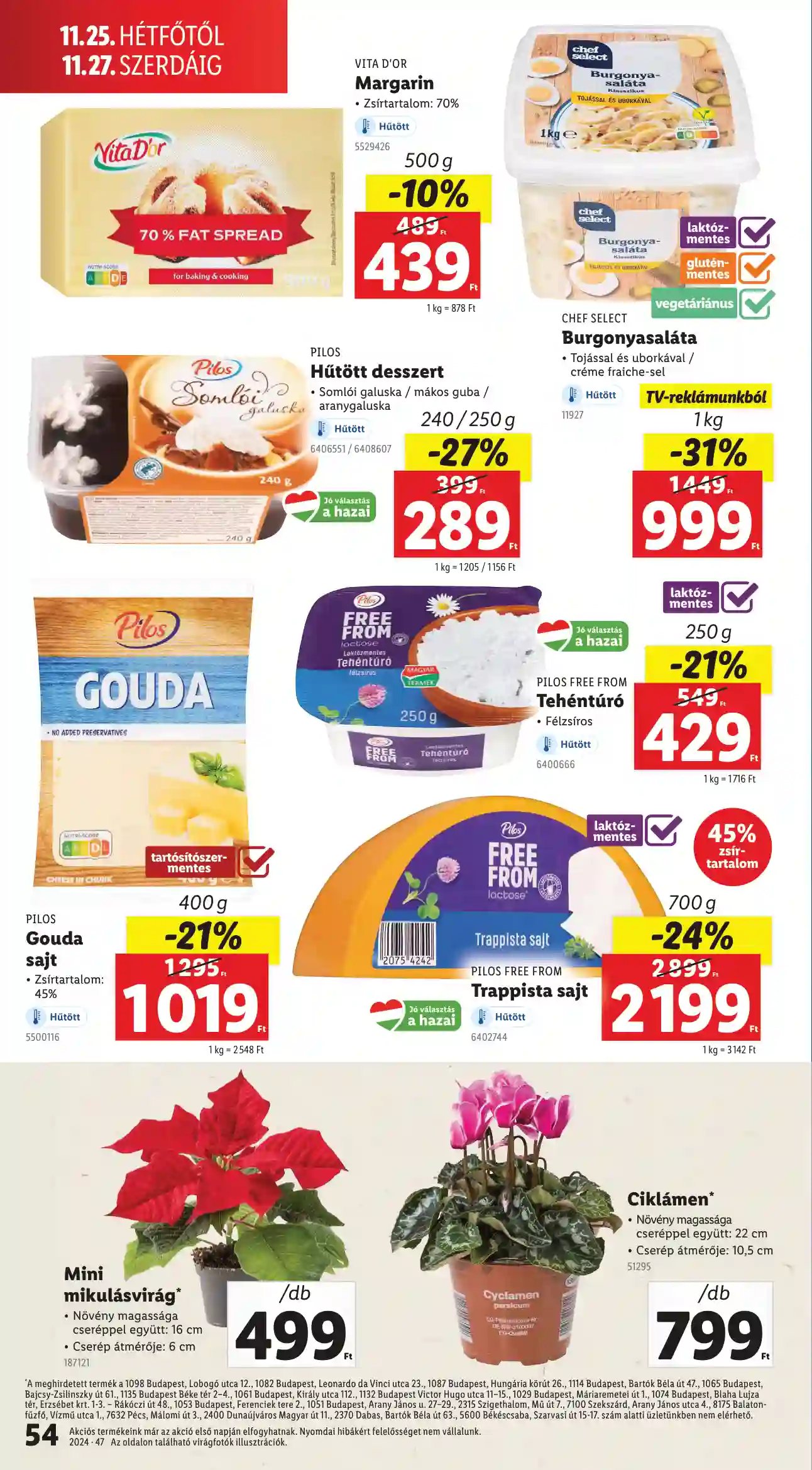 Lidl akciós újság 47. hét (Érvényes 11.21-től) (50 oldal)