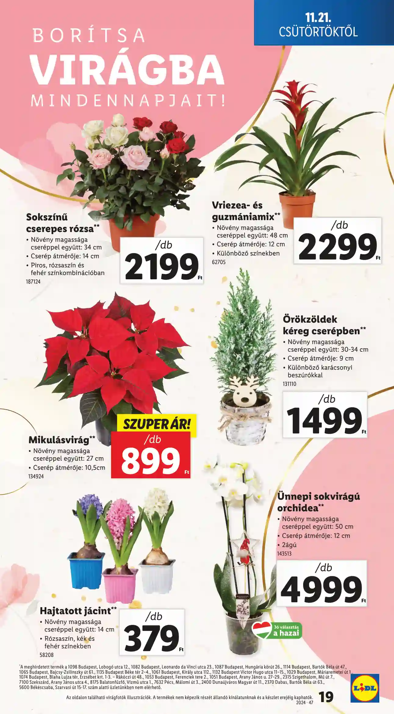 Lidl akciós újság 47. hét (Érvényes 11.21-től) (11 oldal)