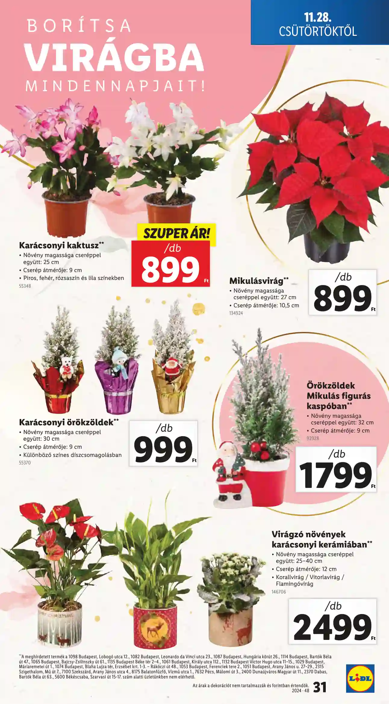 Lidl akciós újság 48. hét (Érvényes 11.28-tól) (25 oldal)