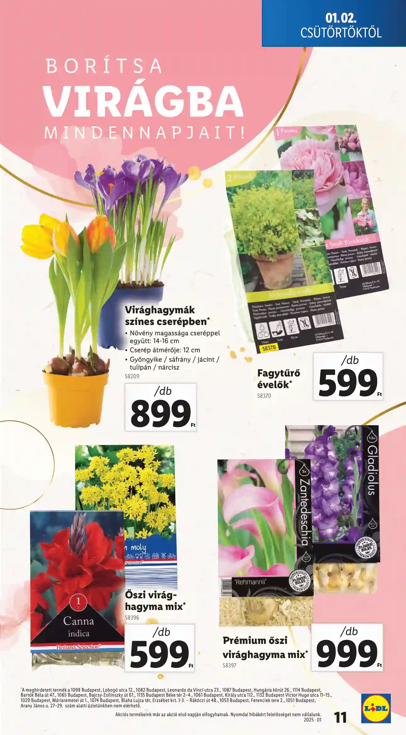 Lidl akciós újság 1. hét (Érvényes 01.02-tól) (3 oldal)
