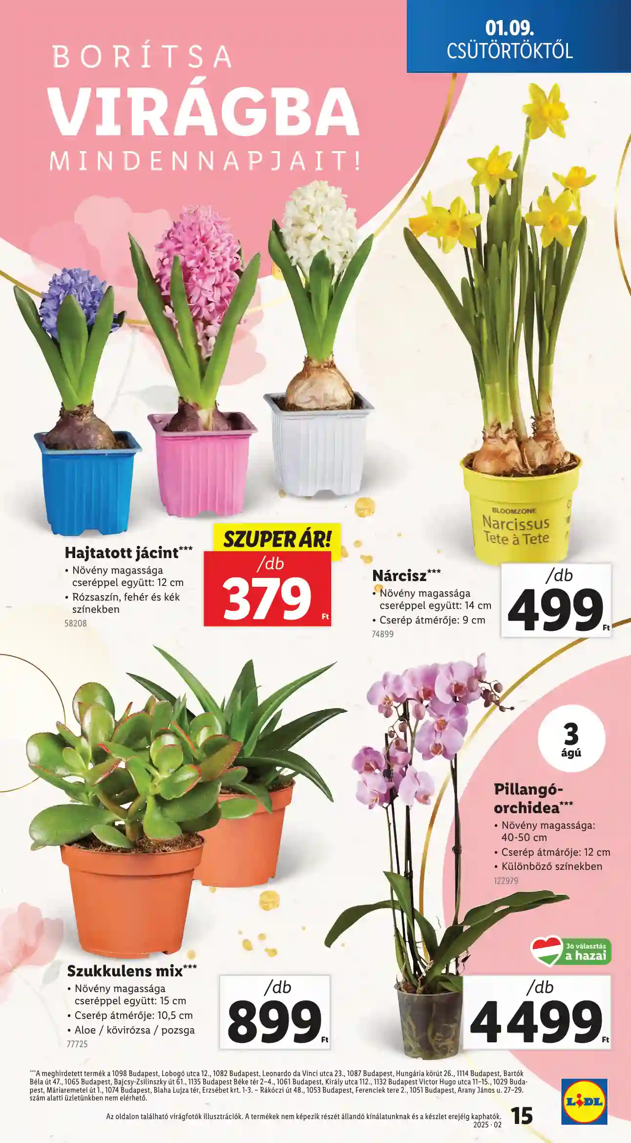 Lidl akciós újság 2. hét (Érvényes 01.09-től) (7 oldal)