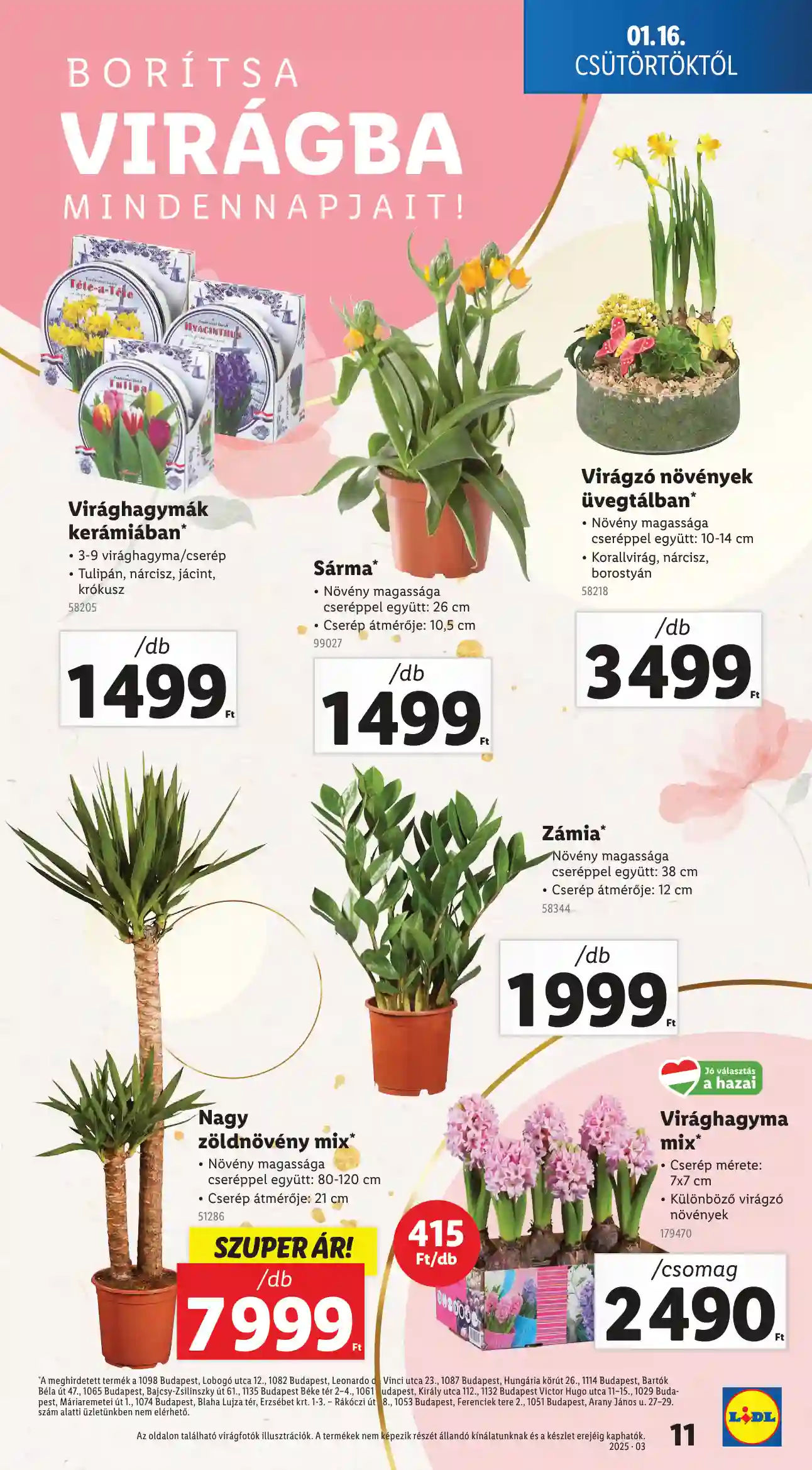 Lidl akciós újság 3. hét (Érvényes 01.16-tól) (3 oldal)