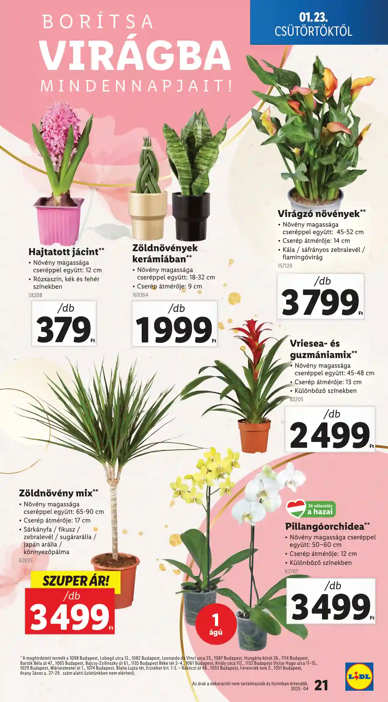 Lidl akciós újság 4. hét (Érvényes 01.23-tól) (14 oldal)