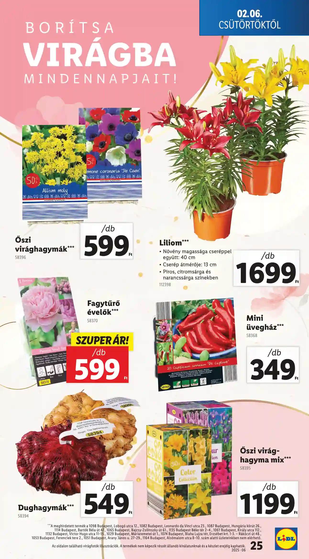 Lidl akciós újság 6. hét (Érvényes 02.06-tól) (18 oldal)