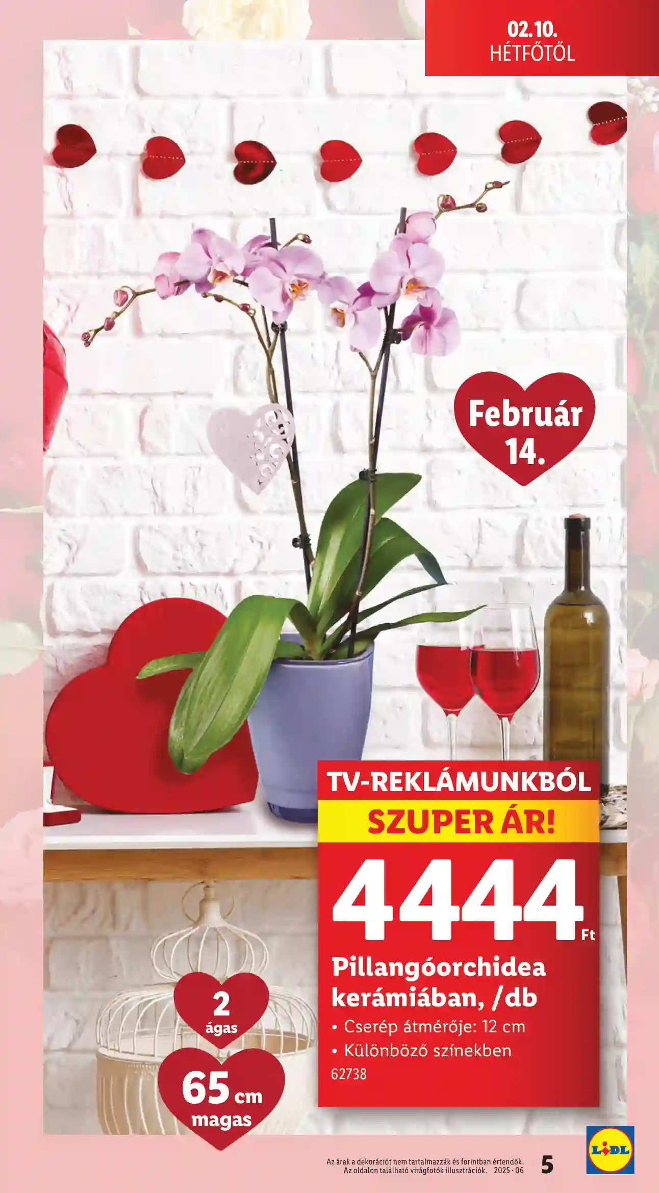 Lidl akciós újság 6. hét (Érvényes 02.06-tól) (35 oldal)