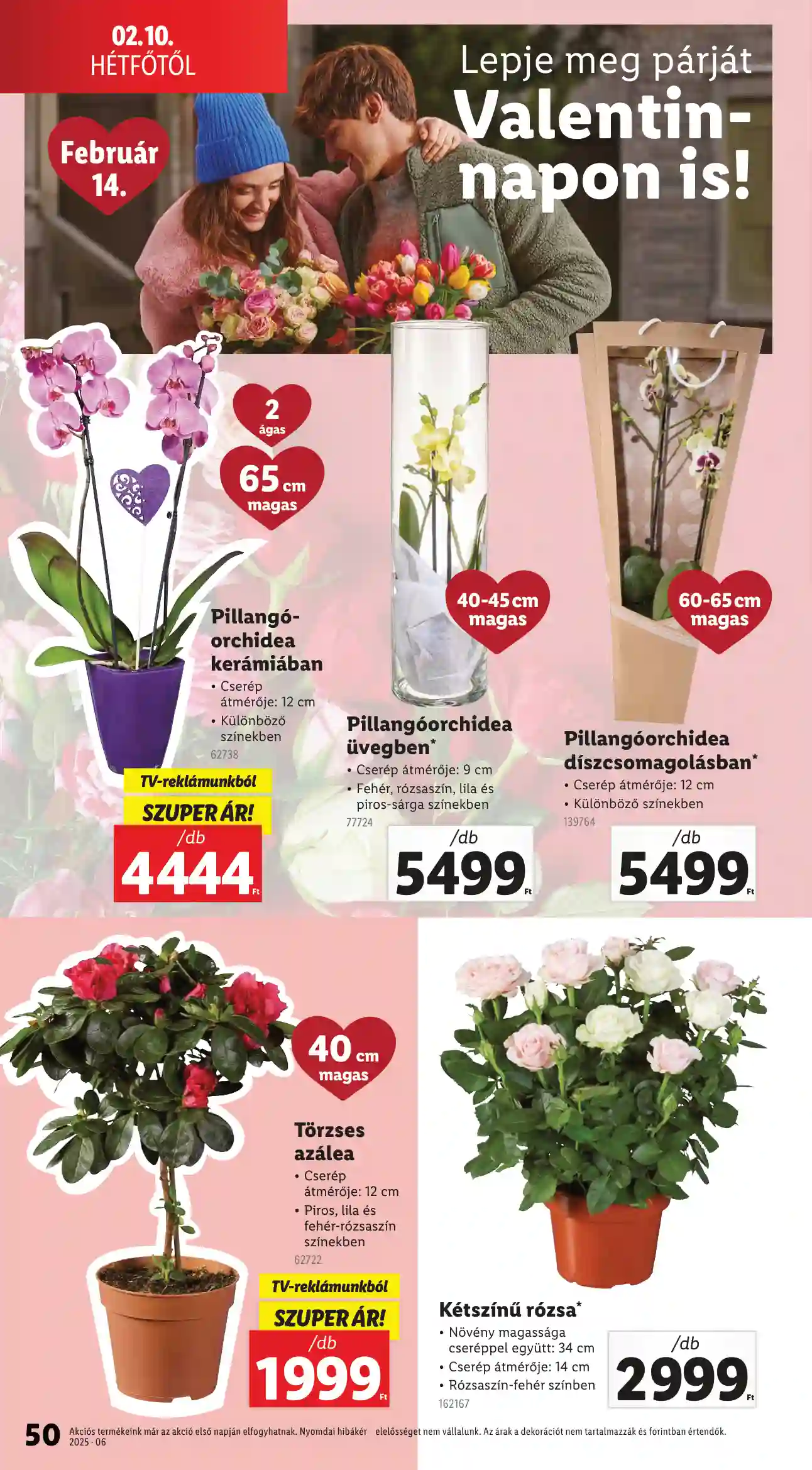 Lidl akciós újság 6. hét (Érvényes 02.06-tól) (45 oldal)