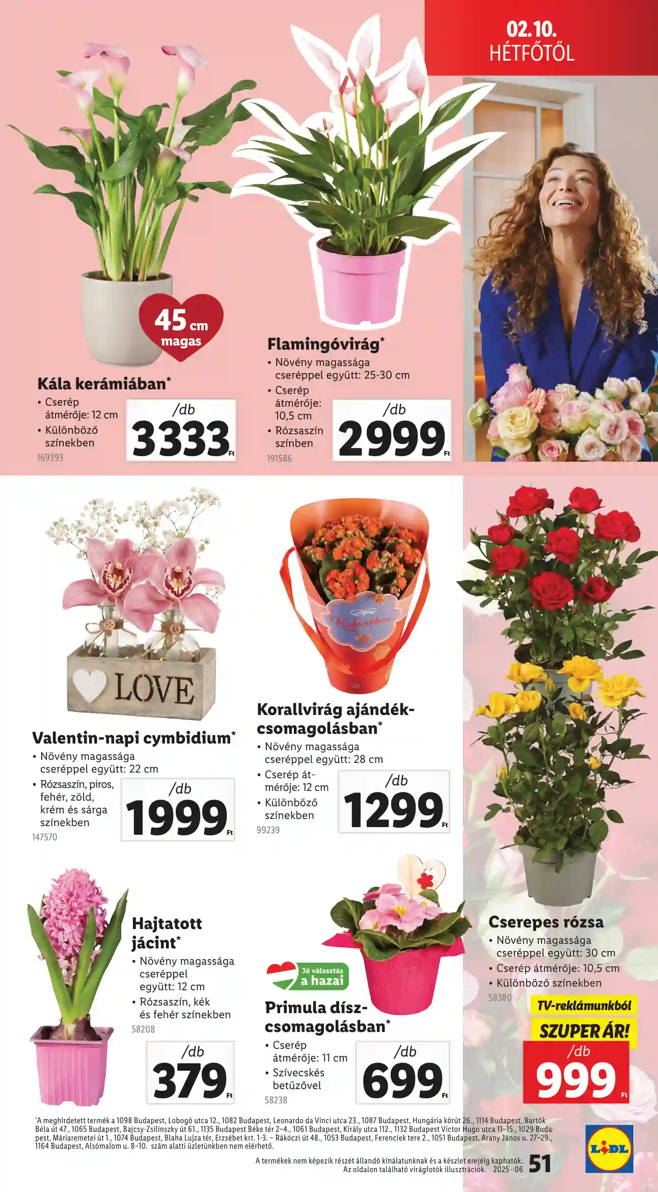 Lidl akciós újság 6. hét (Érvényes 02.06-tól) (47 oldal)