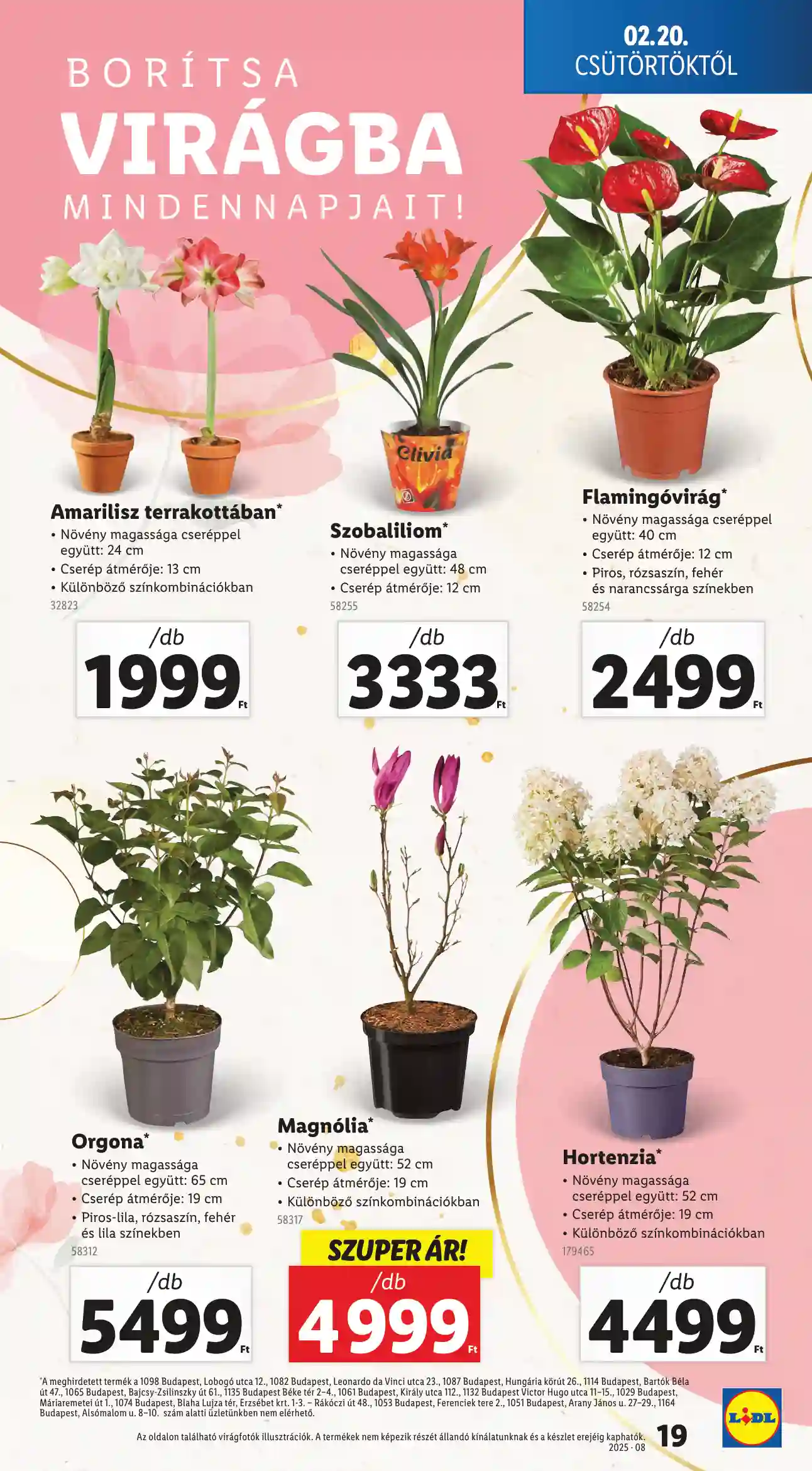 Lidl akciós újság 8. hét (Érvényes 02.20-tól) (11 oldal)
