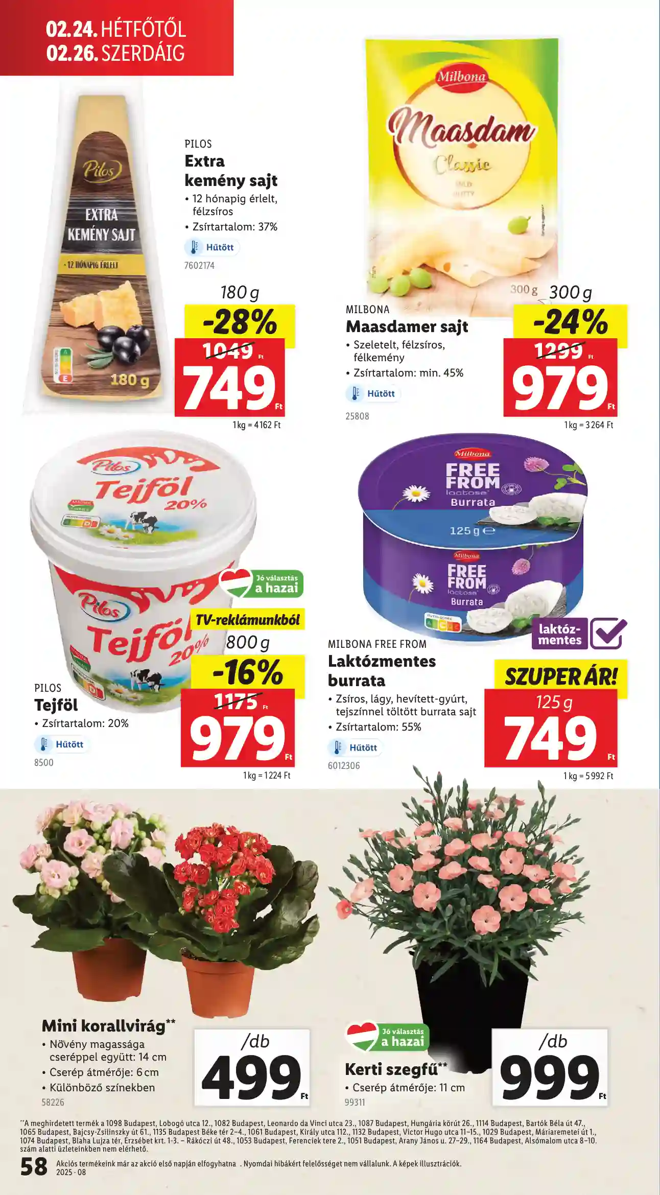 Lidl akciós újság 8. hét (Érvényes 02.20-tól) (54 oldal)