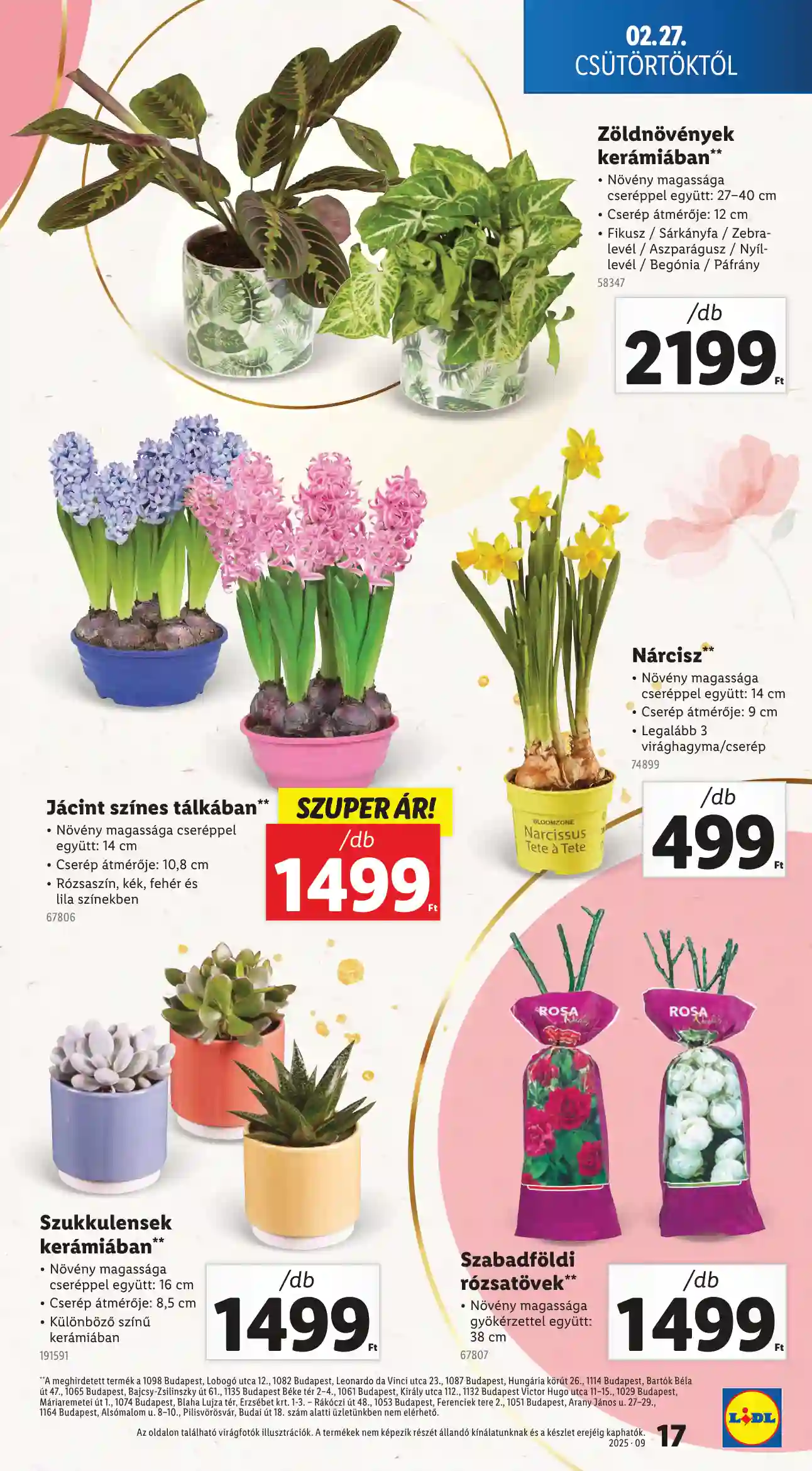 Lidl akciós újság 9. hét (Érvényes 02.27-től) (9 oldal)