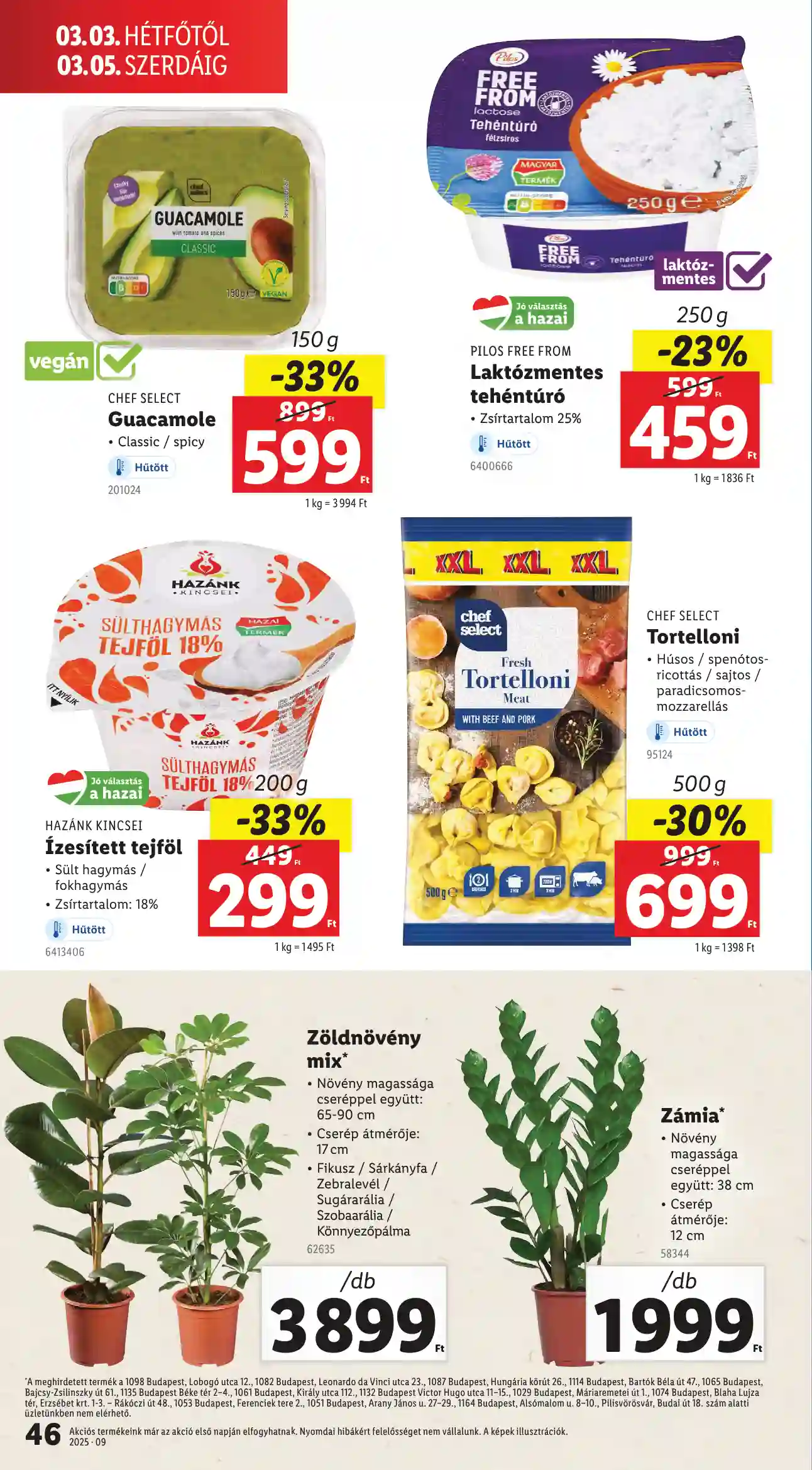 Lidl akciós újság 9. hét (Érvényes 02.27-től) (41 oldal)