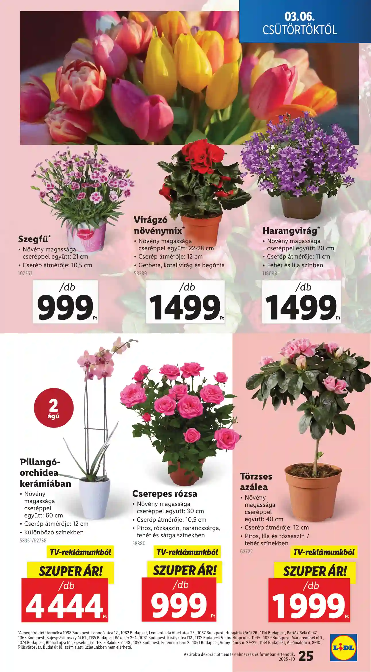 Lidl akciós újság 10. hét (Érvényes 03.06-tól) (18 oldal)