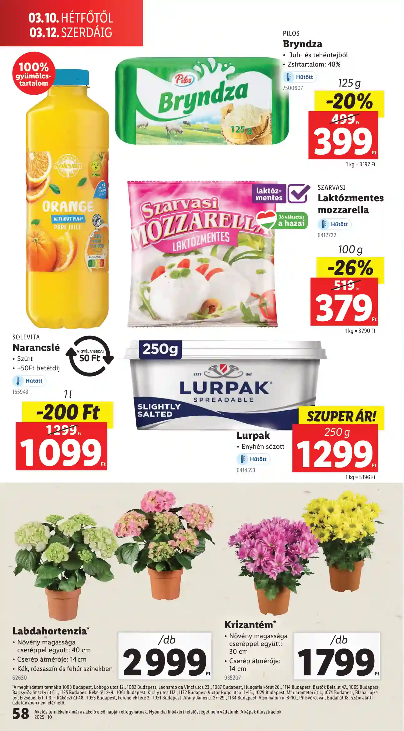 Lidl akciós újság 10. hét (Érvényes 03.06-tól) (54 oldal)
