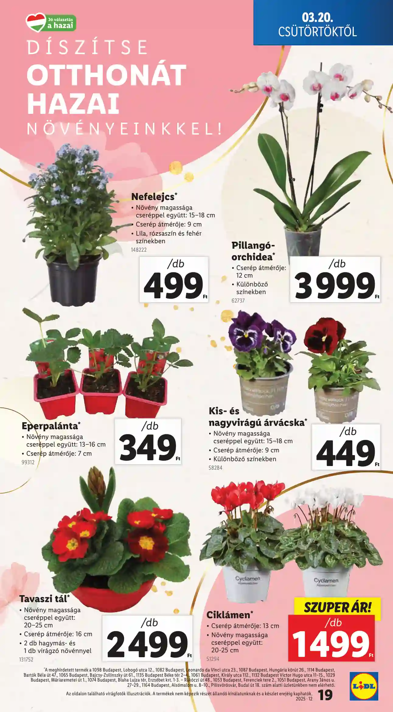 Lidl akciós újság 12. hét (Érvényes 03.20-tól) (11 oldal)