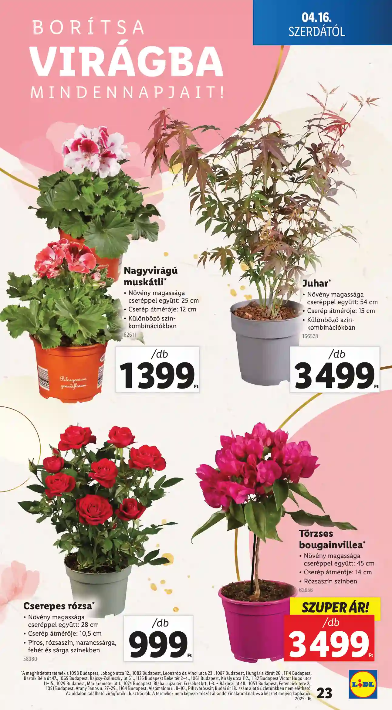 Lidl akciós újság 16. hét (Érvényes 04.16-tól) (16 oldal)