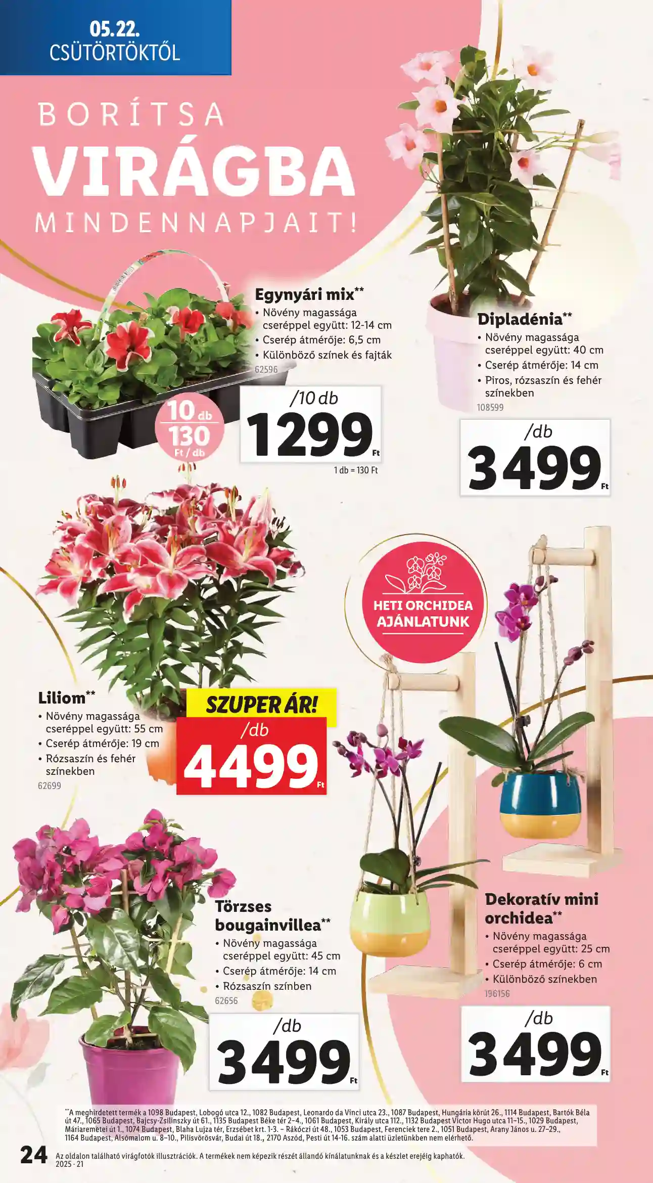 Lidl akciós újság 21. hét (Érvényes 05.22-től) (17 oldal)