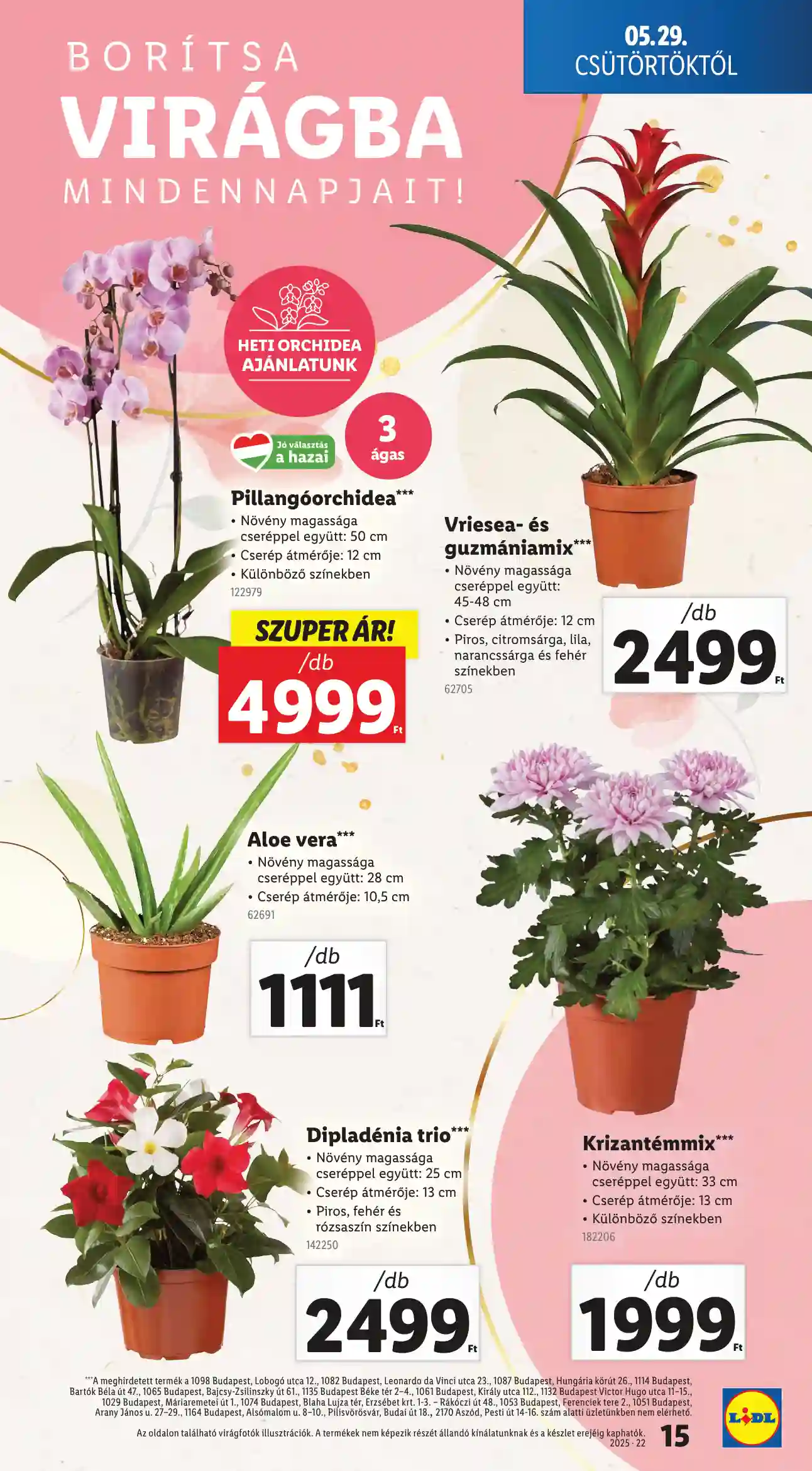 Lidl akciós újság 22. hét (Érvényes 05.29-től) (7 oldal)