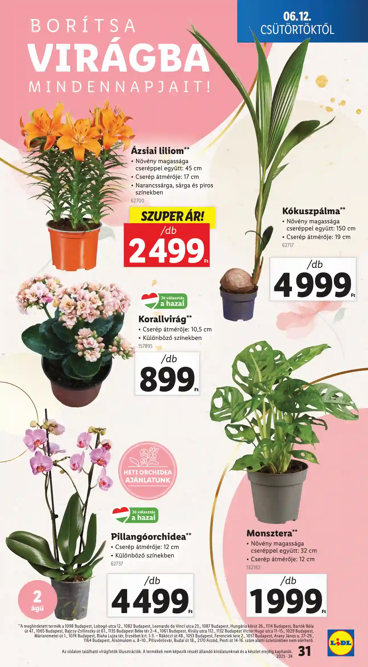 Lidl akciós újság 24. hét (Érvényes 06.12-től) (25 oldal)