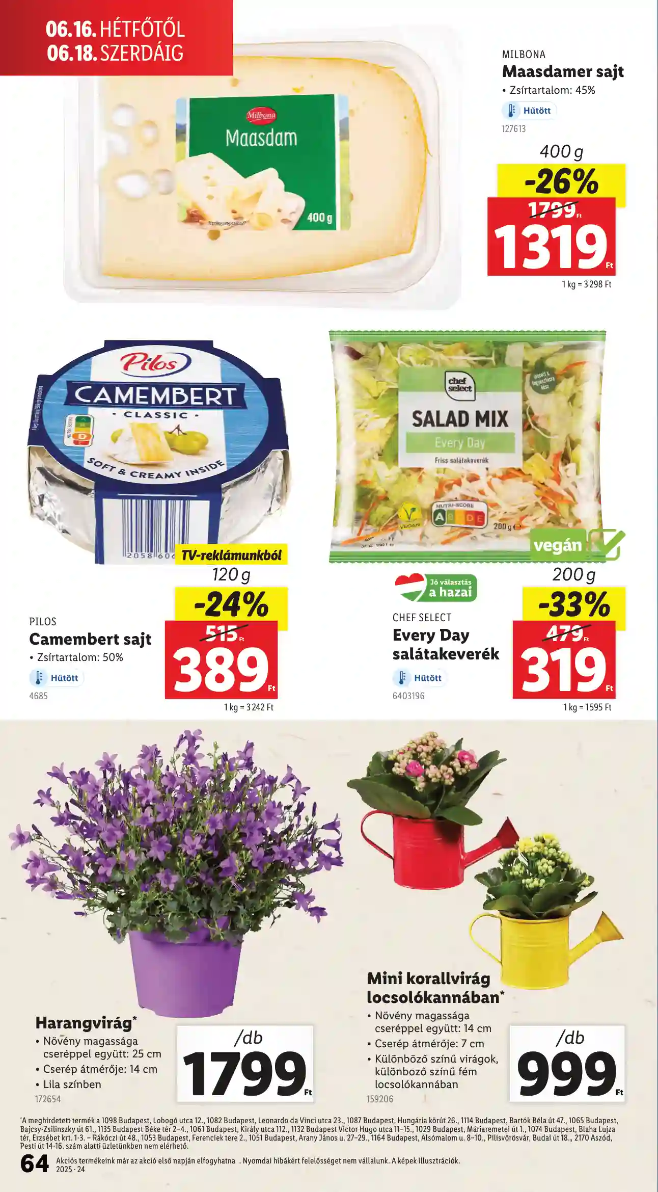 Lidl akciós újság 24. hét (Érvényes 06.12-től) (61 oldal)