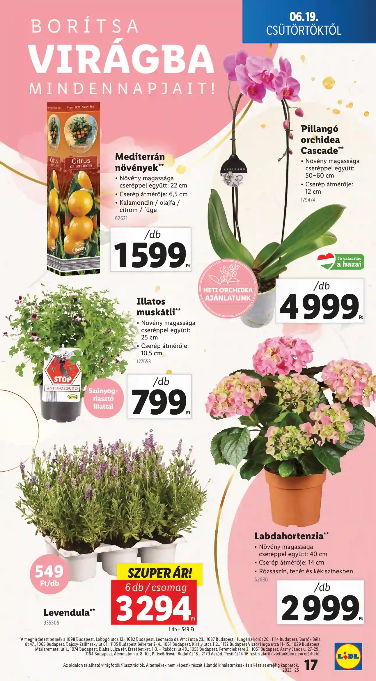 Lidl akciós újság 25. hét (Érvényes 06.19-től) (9 oldal)