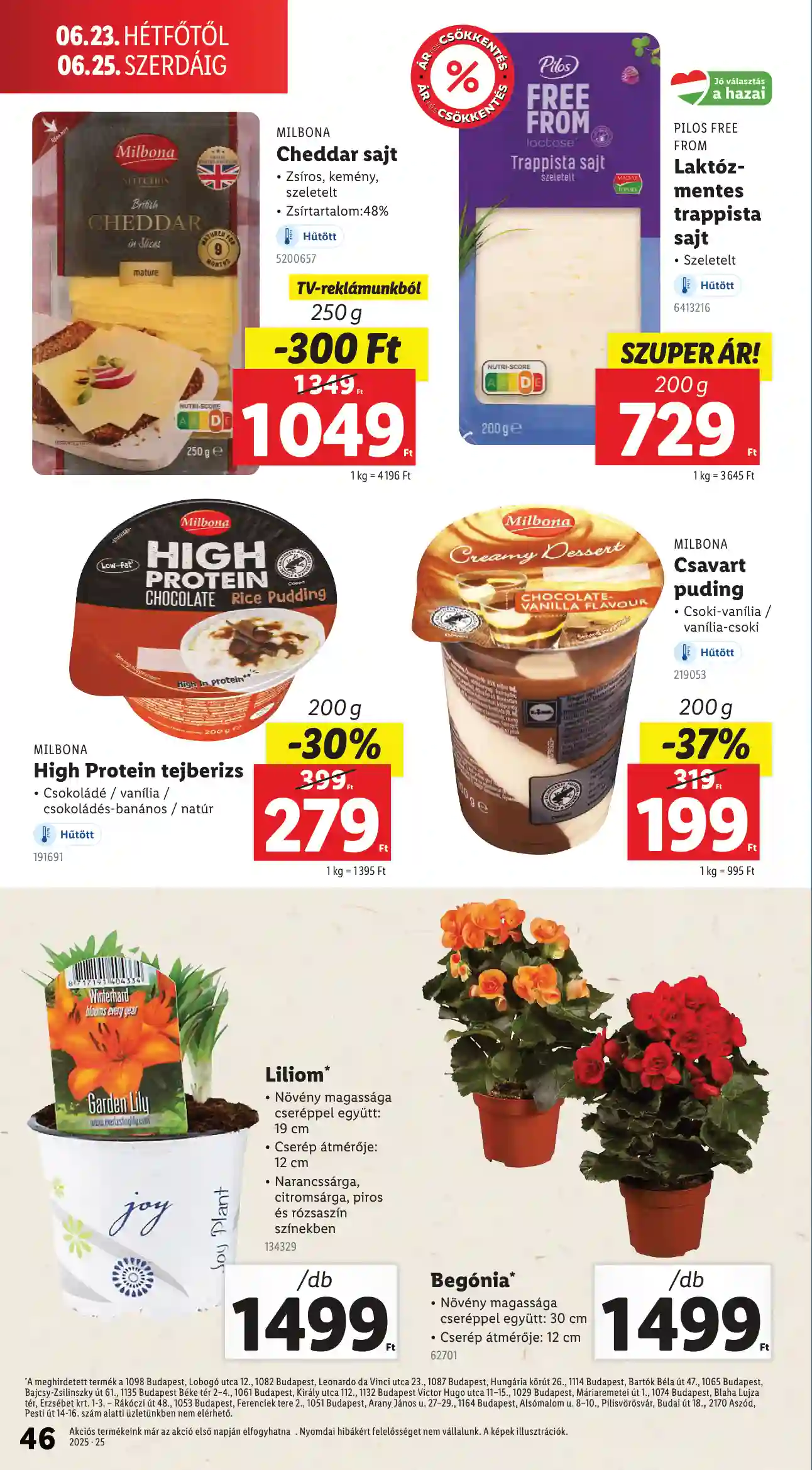 Lidl akciós újság 25. hét (Érvényes 06.19-től) (41 oldal)