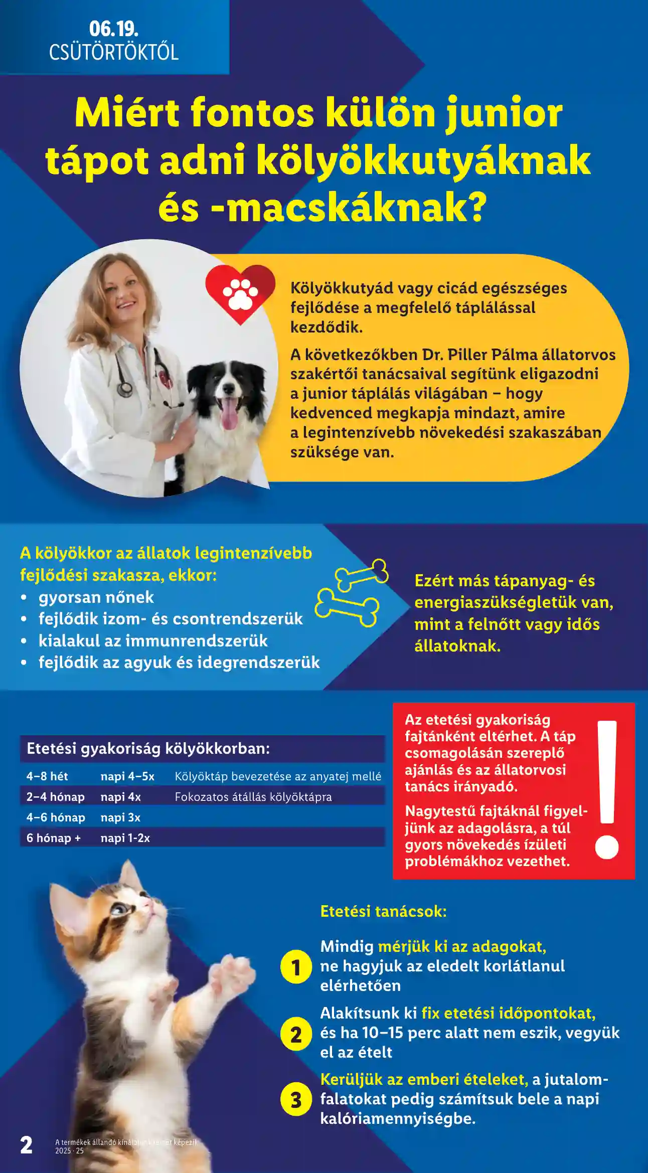 Lidl akciós újság 25. hét (Érvényes 06.19-től) (2 oldal)