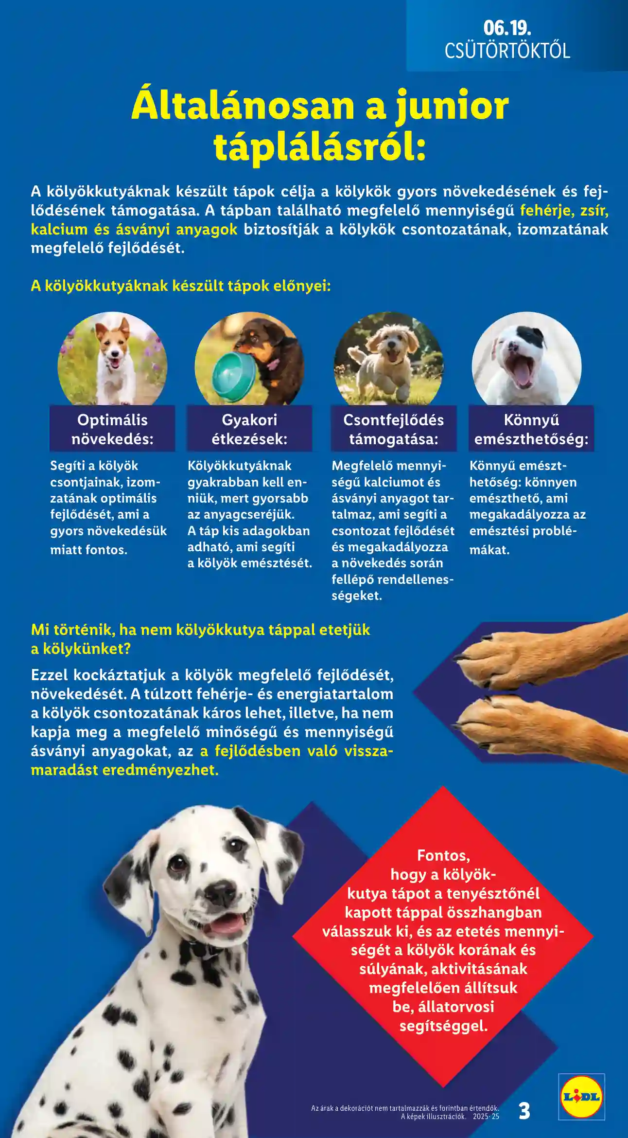 Lidl akciós újság 25. hét (Érvényes 06.19-től) (3 oldal)