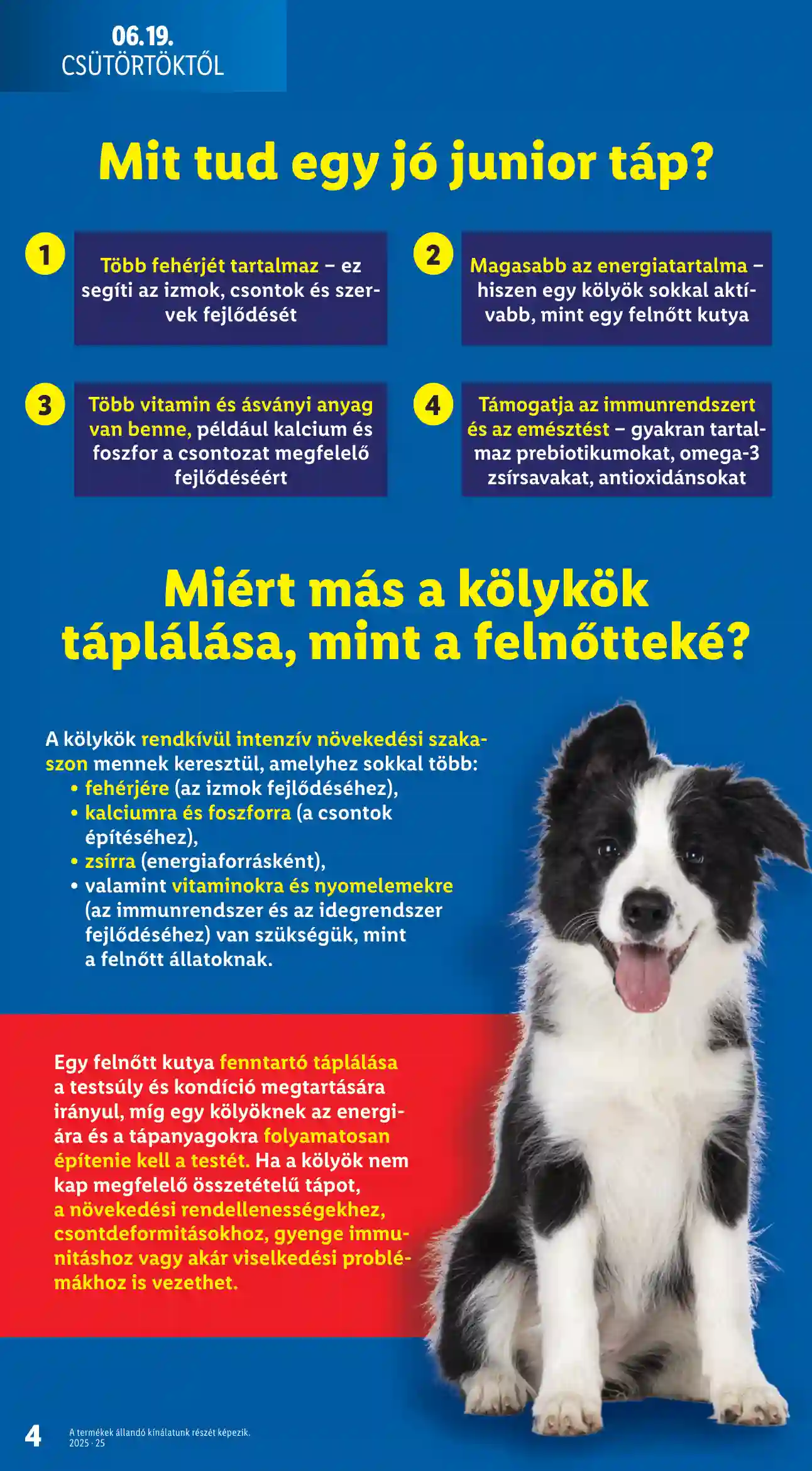 Lidl akciós újság 25. hét (Érvényes 06.19-től) (4 oldal)