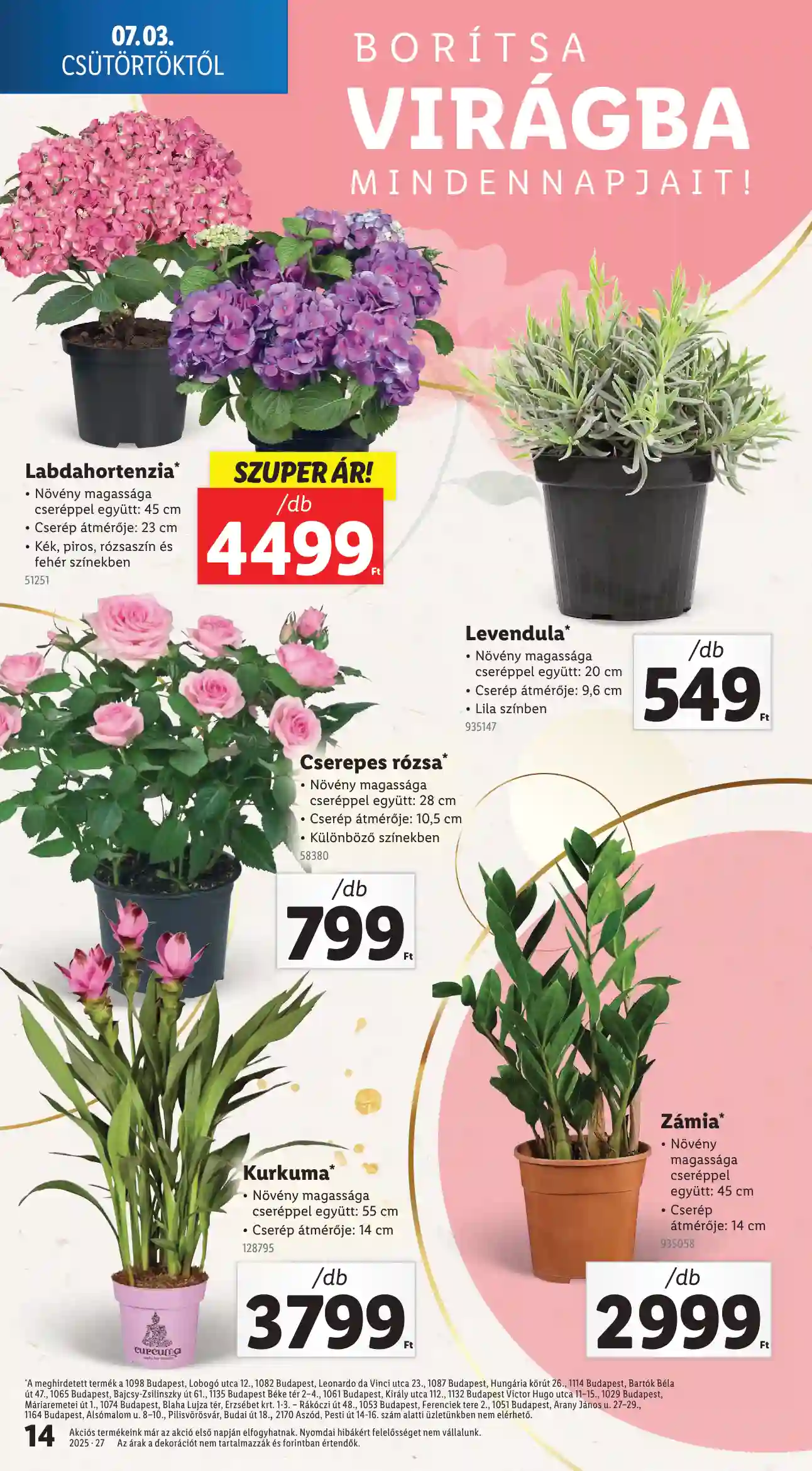 Lidl akciós újság 27. hét (Érvényes 07.03-tól) (6 oldal)