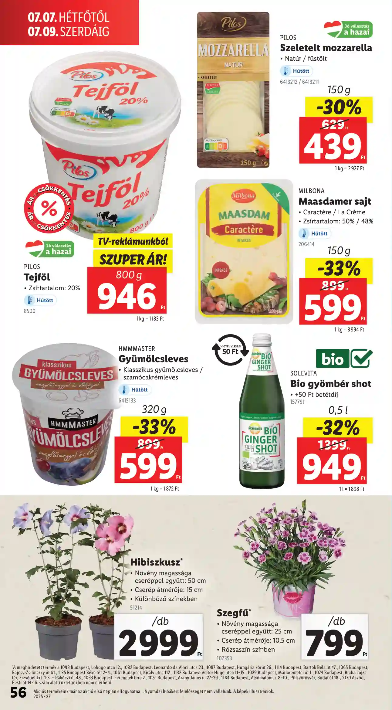 Lidl akciós újság 27. hét (Érvényes 07.03-tól) (52 oldal)