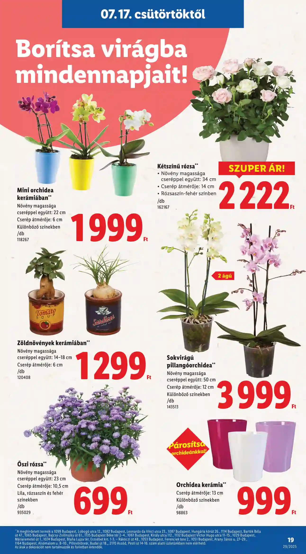 Lidl akciós újság 29. hét (Érvényes 07.17-től) (11 oldal)
