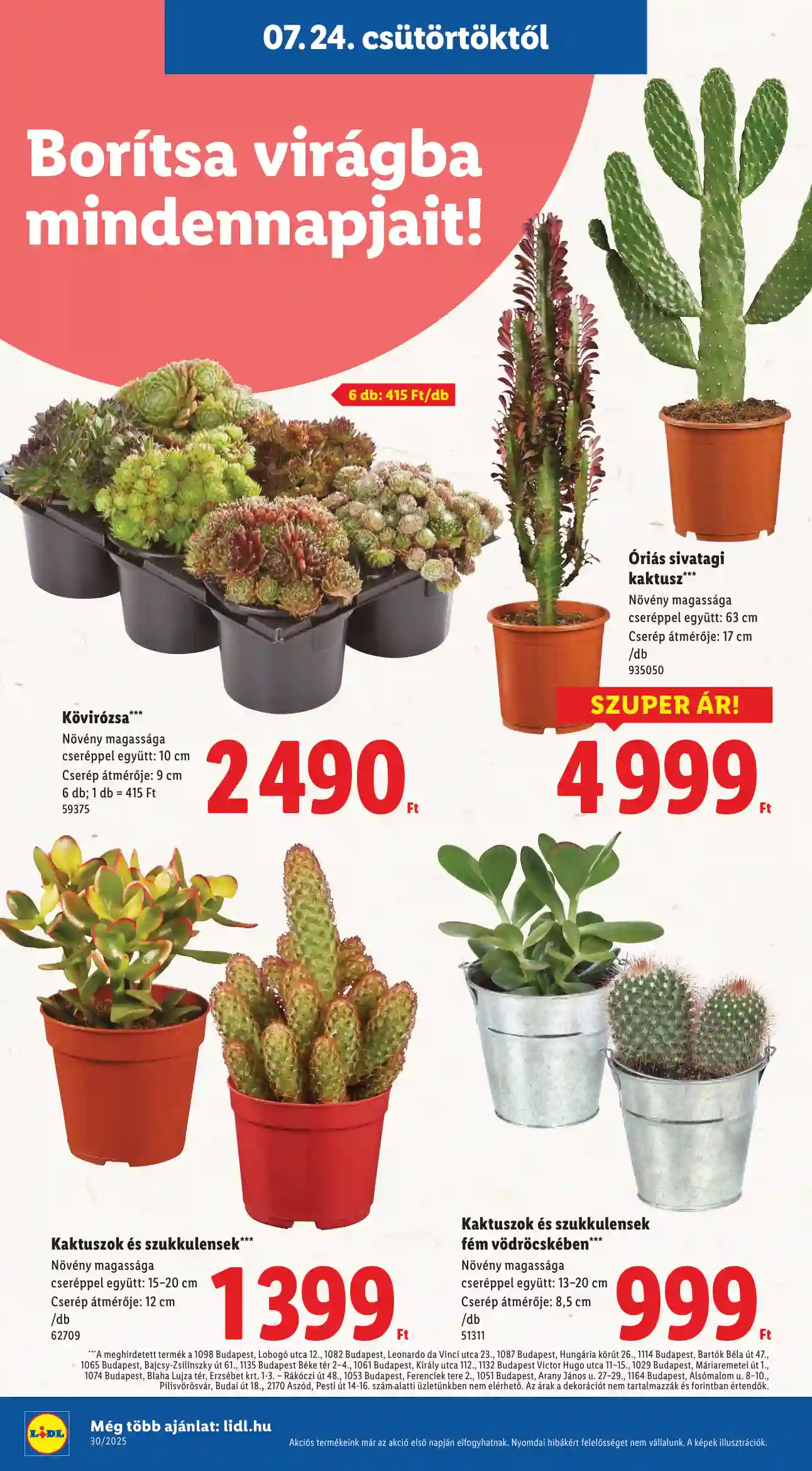 Lidl akciós újság 30. hét (Érvényes 07.24-től) (8 oldal)