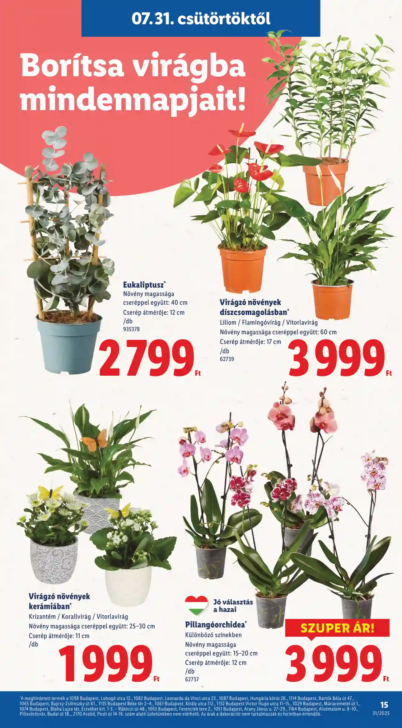 Lidl akciós újság 31. hét (Érvényes 07.31-től) (7 oldal)