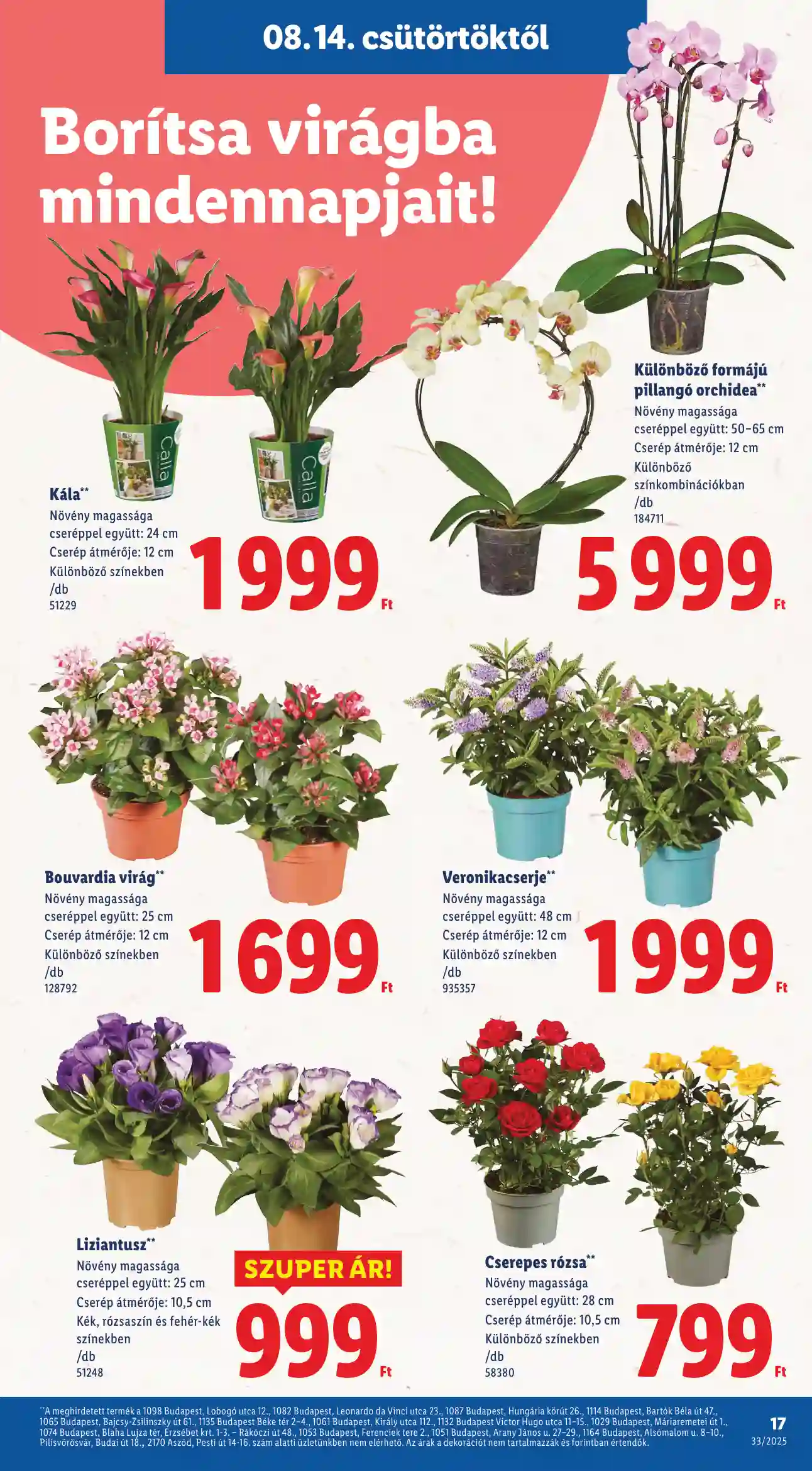 Lidl akciós újság 33. hét (Érvényes 08.14-től) (9 oldal)