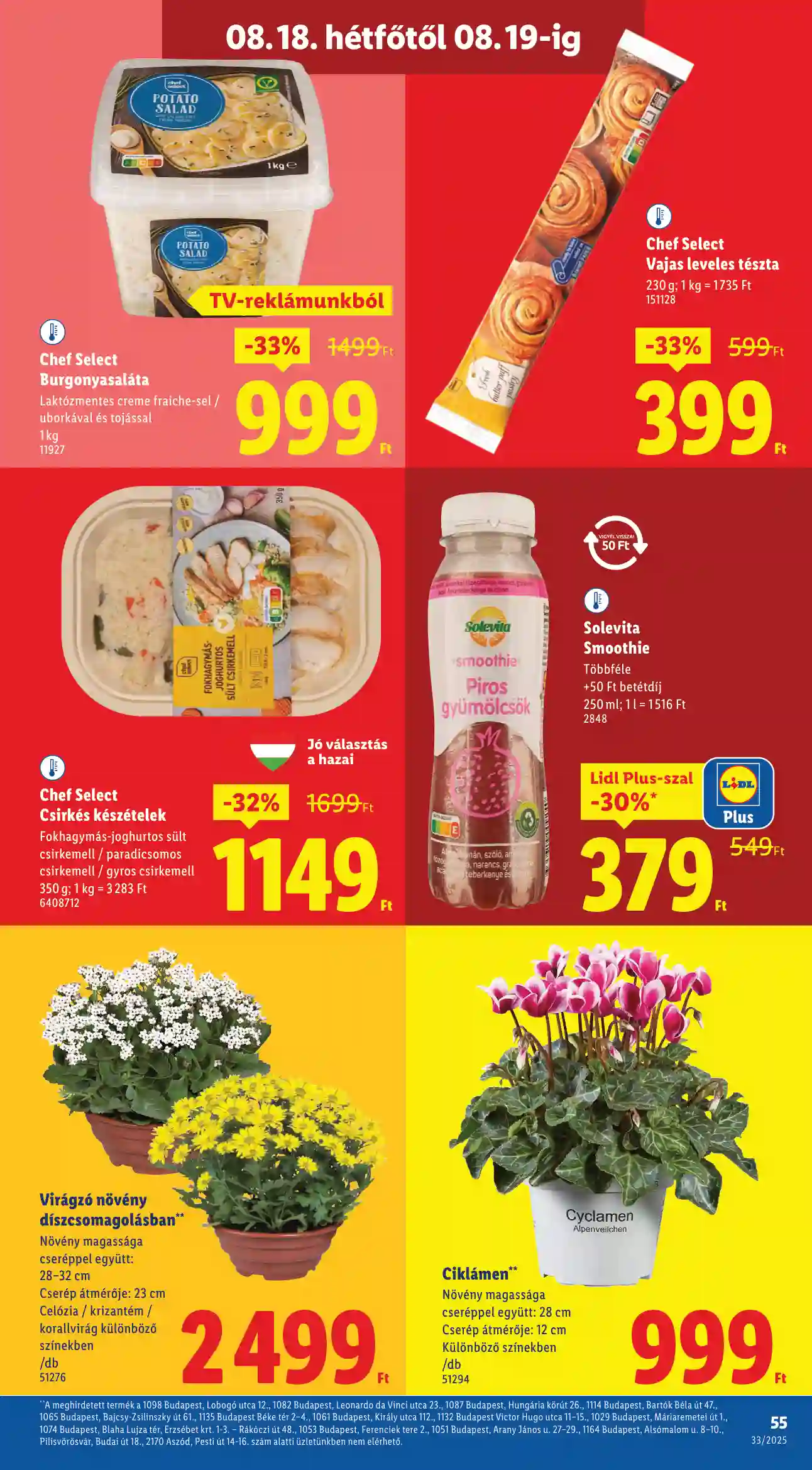 Lidl akciós újság 33. hét (Érvényes 08.14-től) (51 oldal)