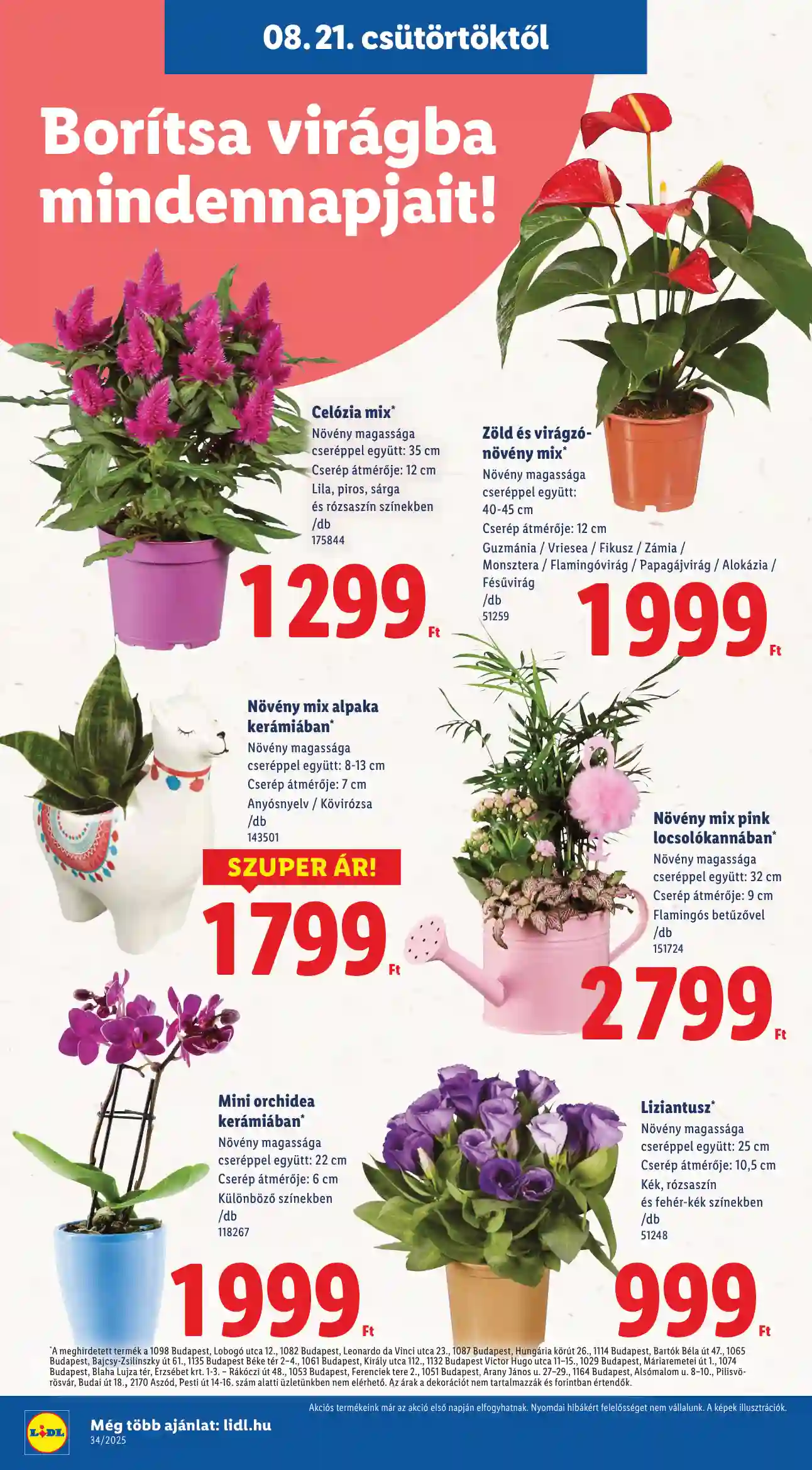 Lidl akciós újság 34. hét (Érvényes 08.21-től) (8 oldal)