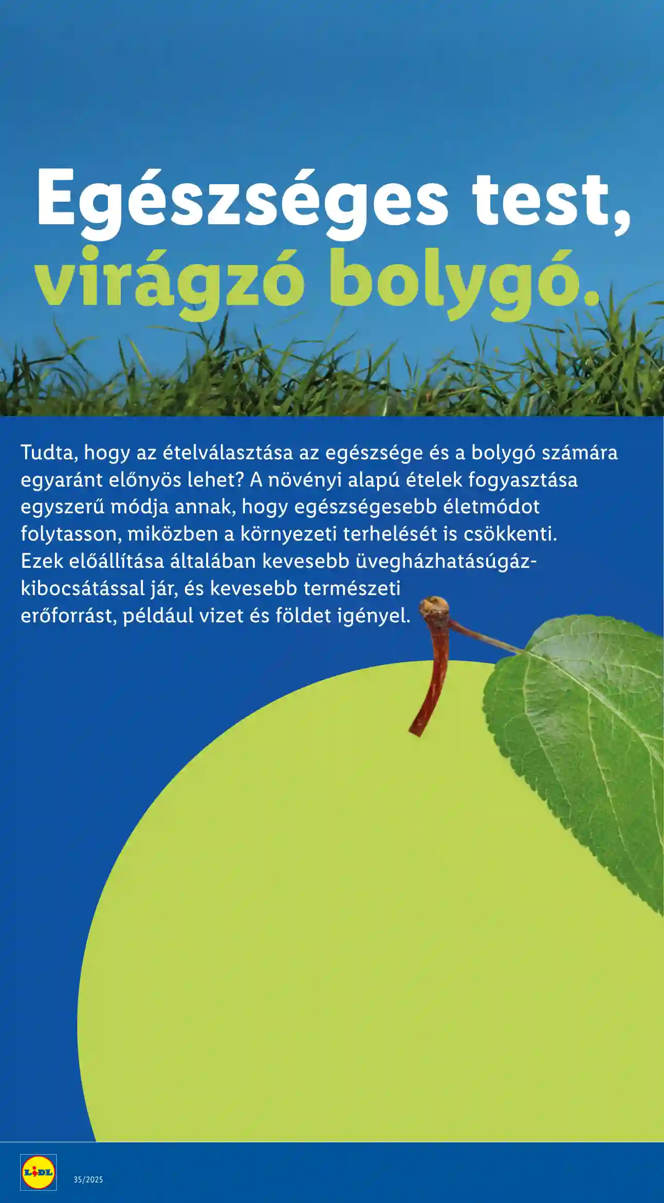 Lidl akciós újság 35. hét (Érvényes 08.28-tól) (26 oldal)